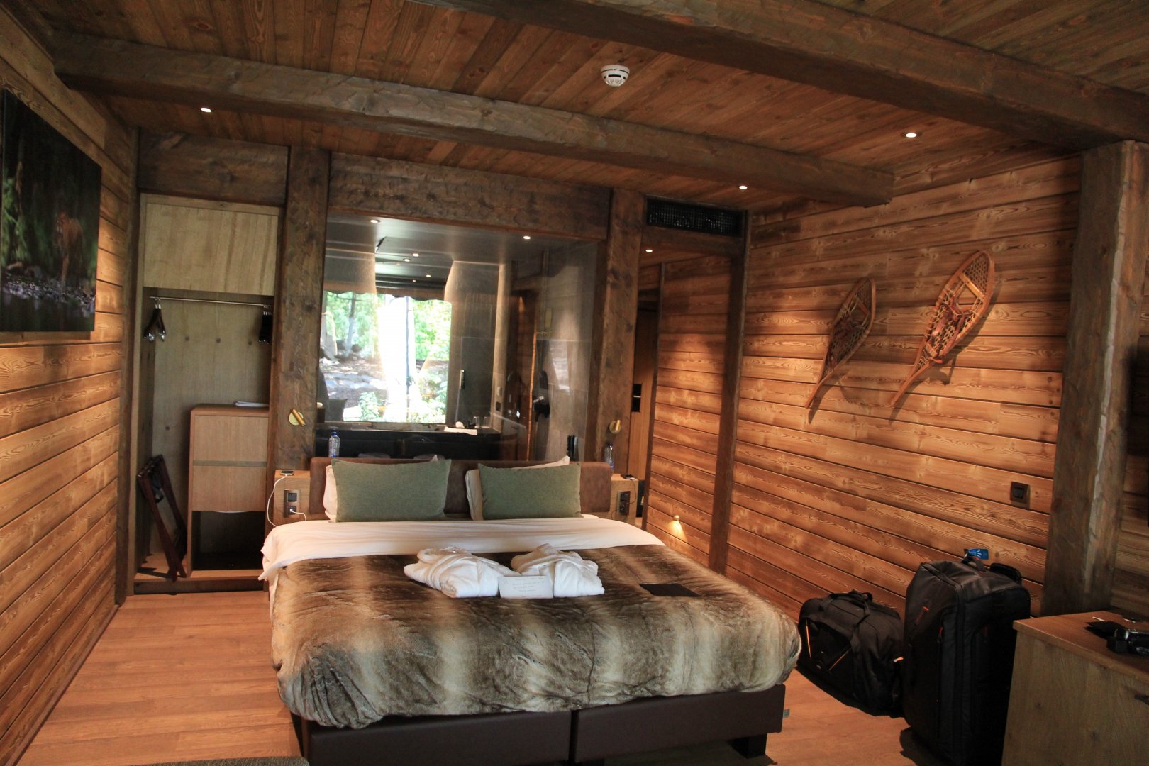 The Land of Cold - Tiger room indoor