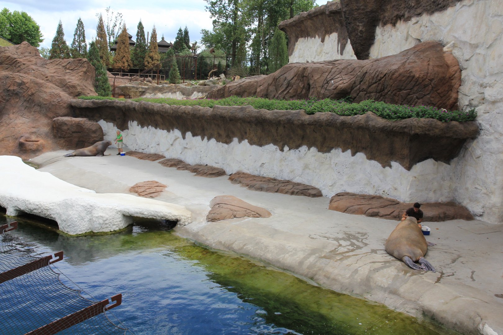 The Land of Cold - Walrus enclosure