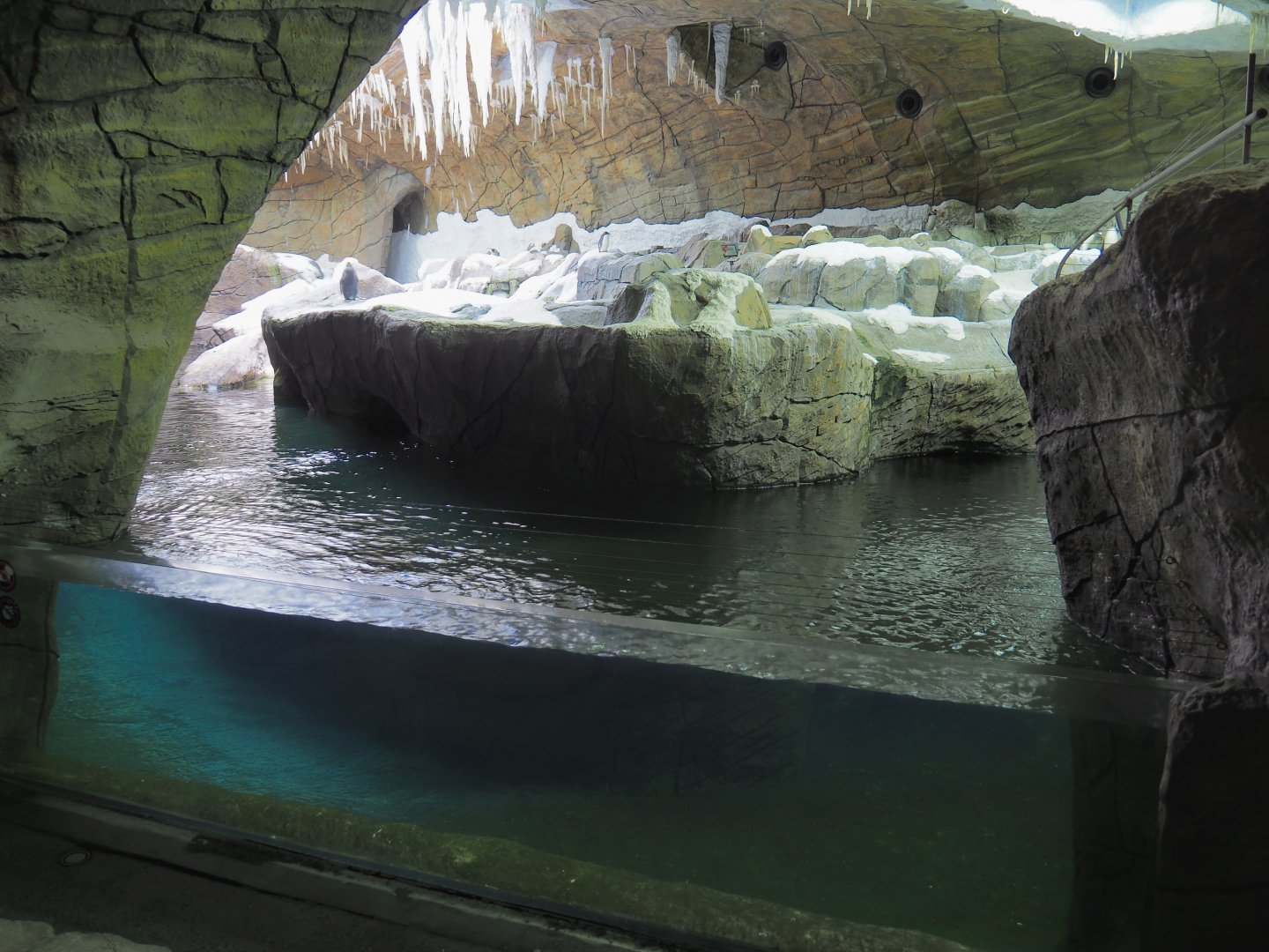 The Land of the Cold penguin cave - Now with three penguin species, 2022-06-28