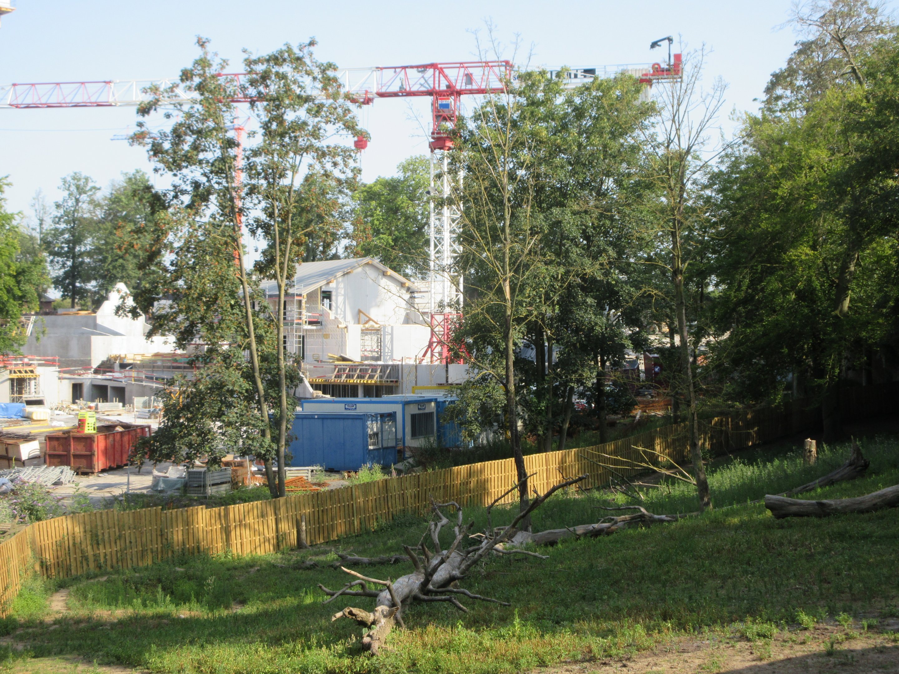 The Land of the Cold - Polar Bears and Antarctic Penguins (in 2020)