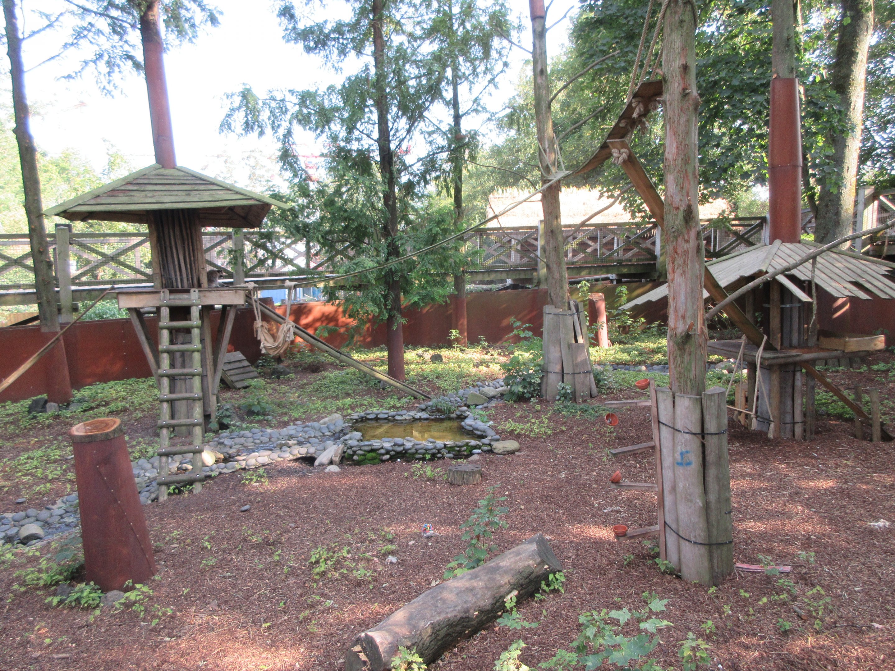 The Land of the Cold - Raccoon Exhibit