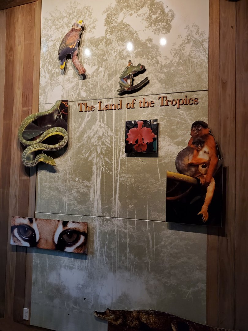 The Land of the Tropics Intro Graphic - August 2021