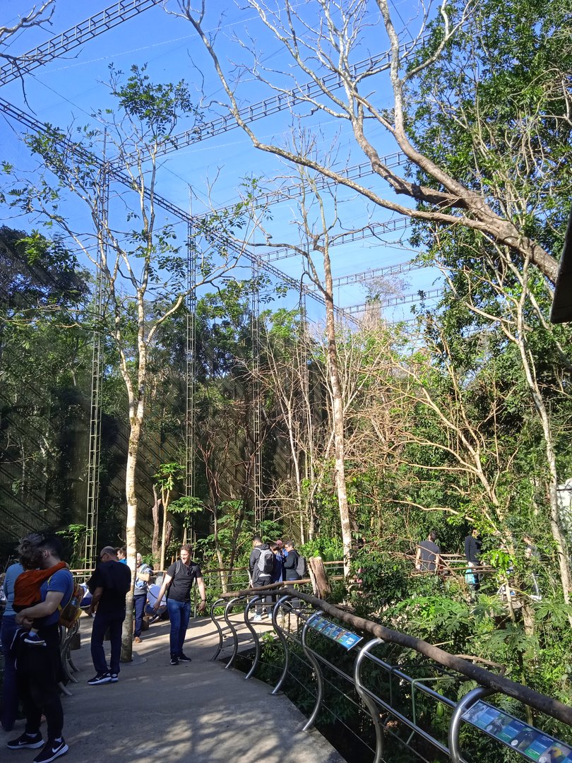 The large Cecropia aviary