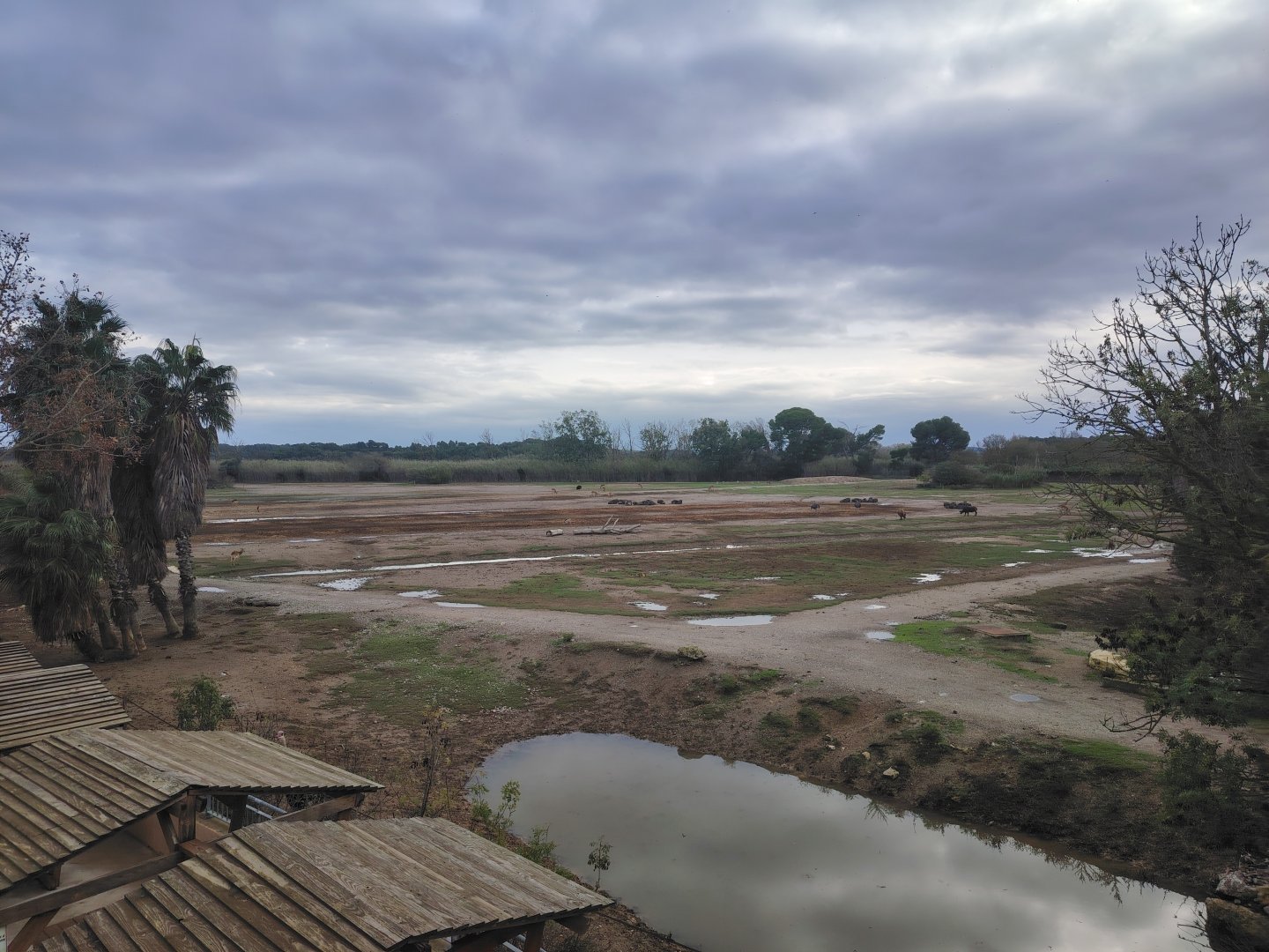 The largest African plain in France ! ...