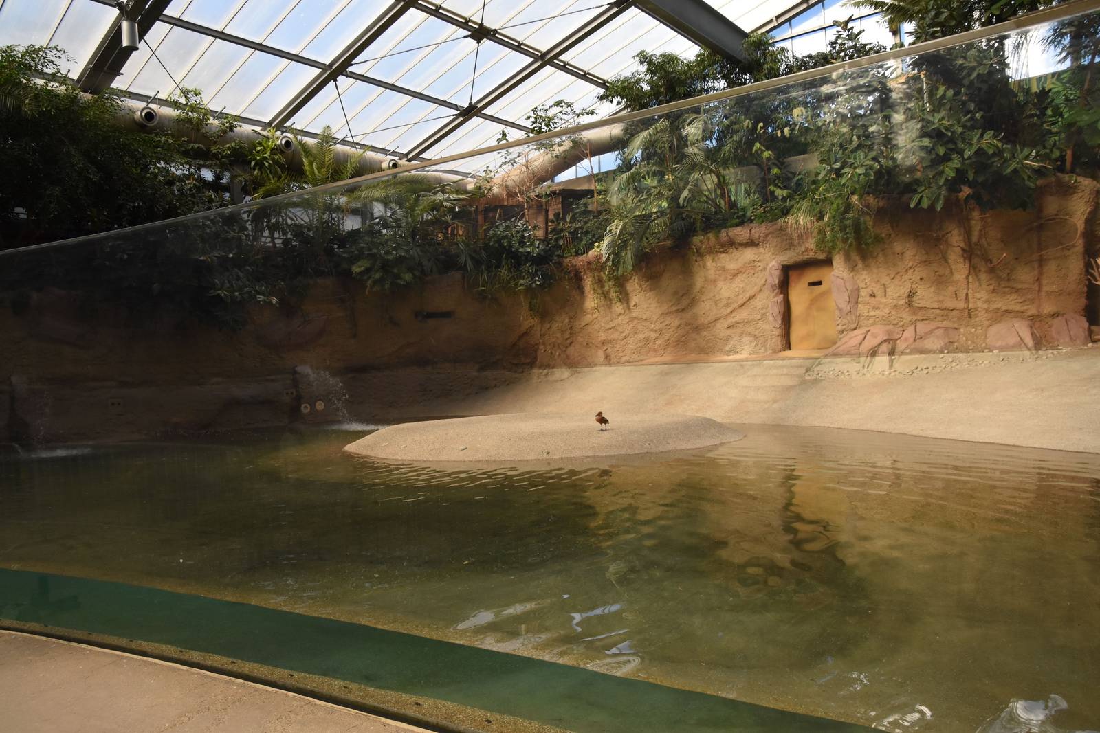 The largest duck indoor enclosure in the world