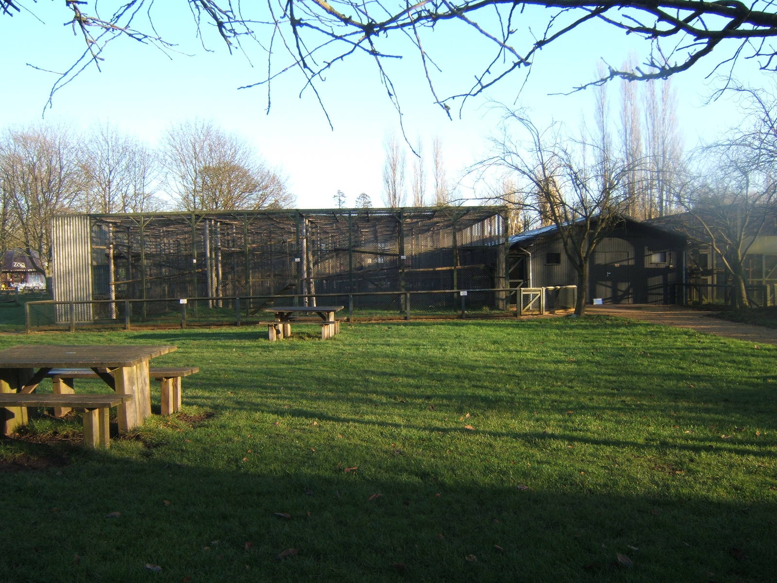 The largest of the Primate House`s