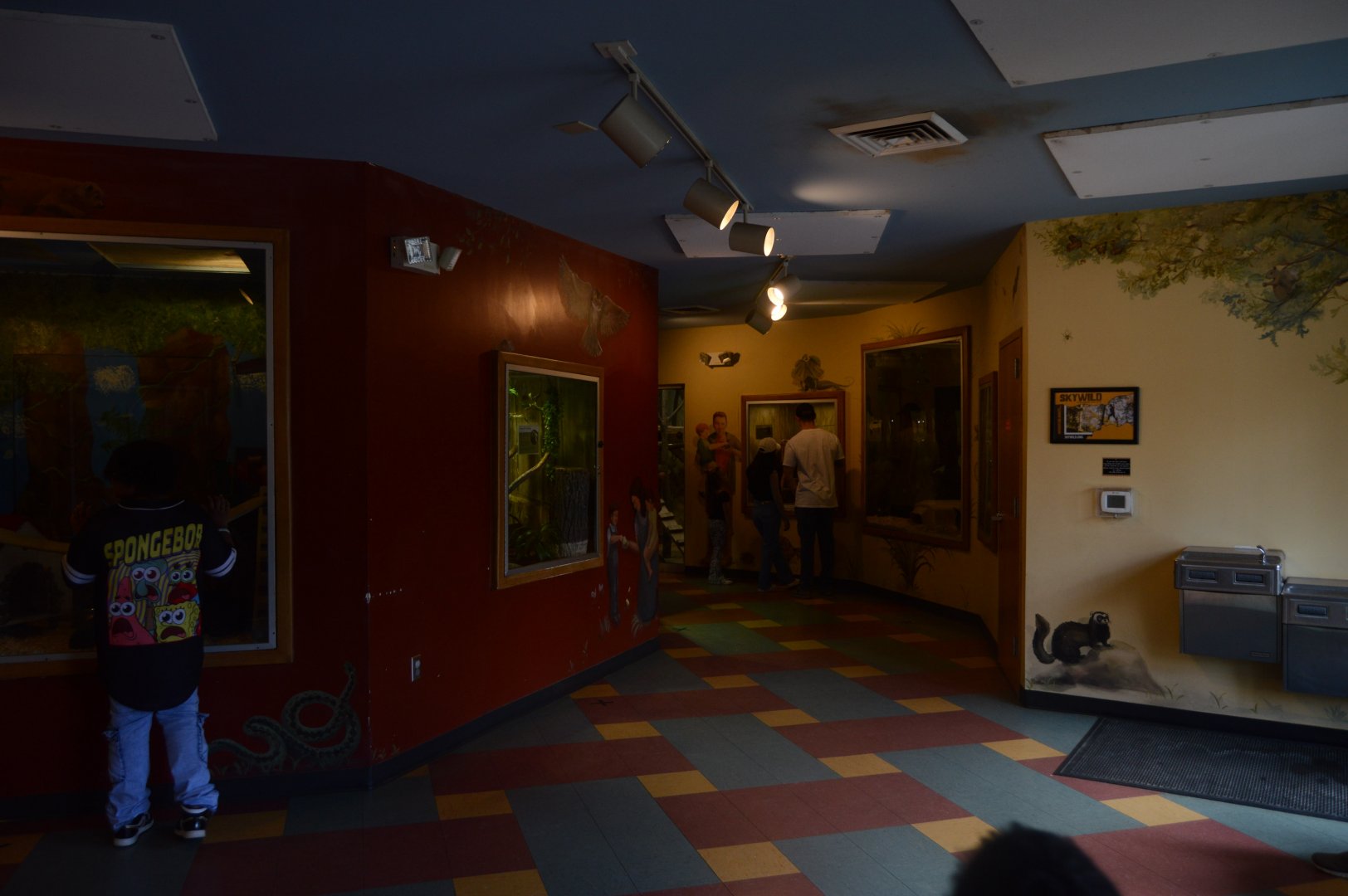 The Last Days of the Discovery House