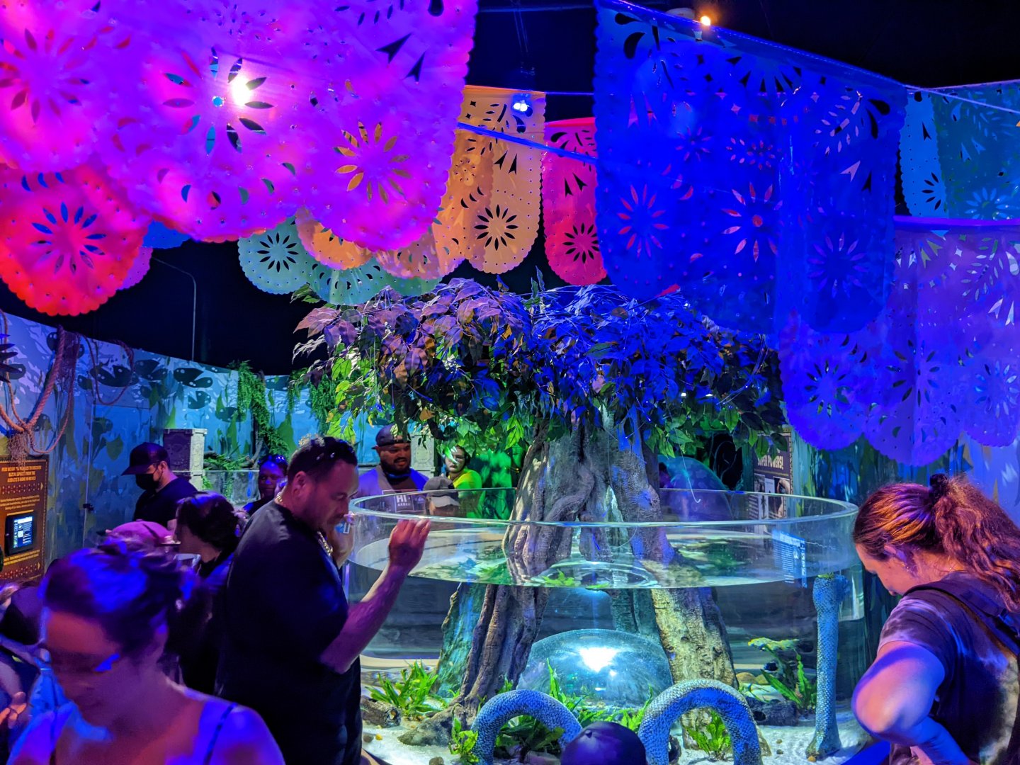 "The Last Dragons" Axolotl tank