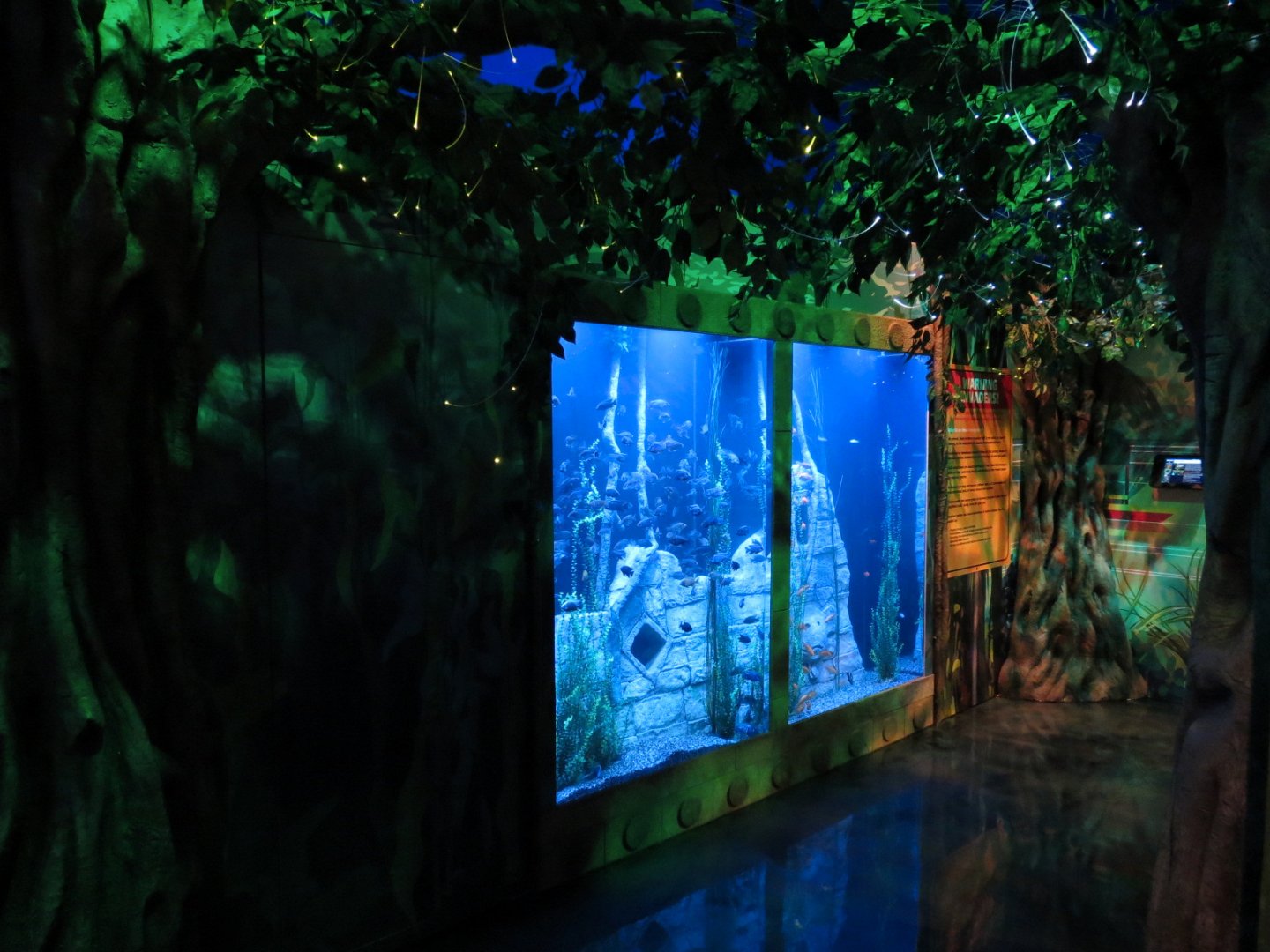 The Last Dragons Exhibits