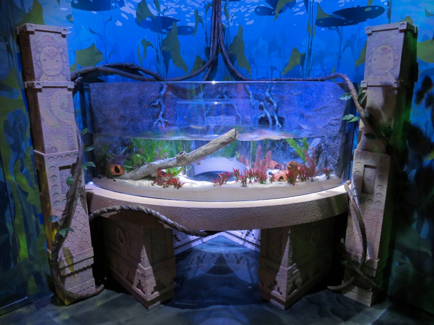 The Last Dragons Exhibits