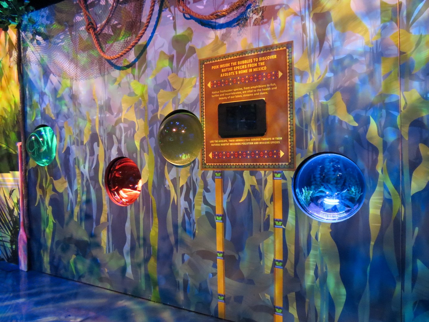 The Last Dragons Exhibits