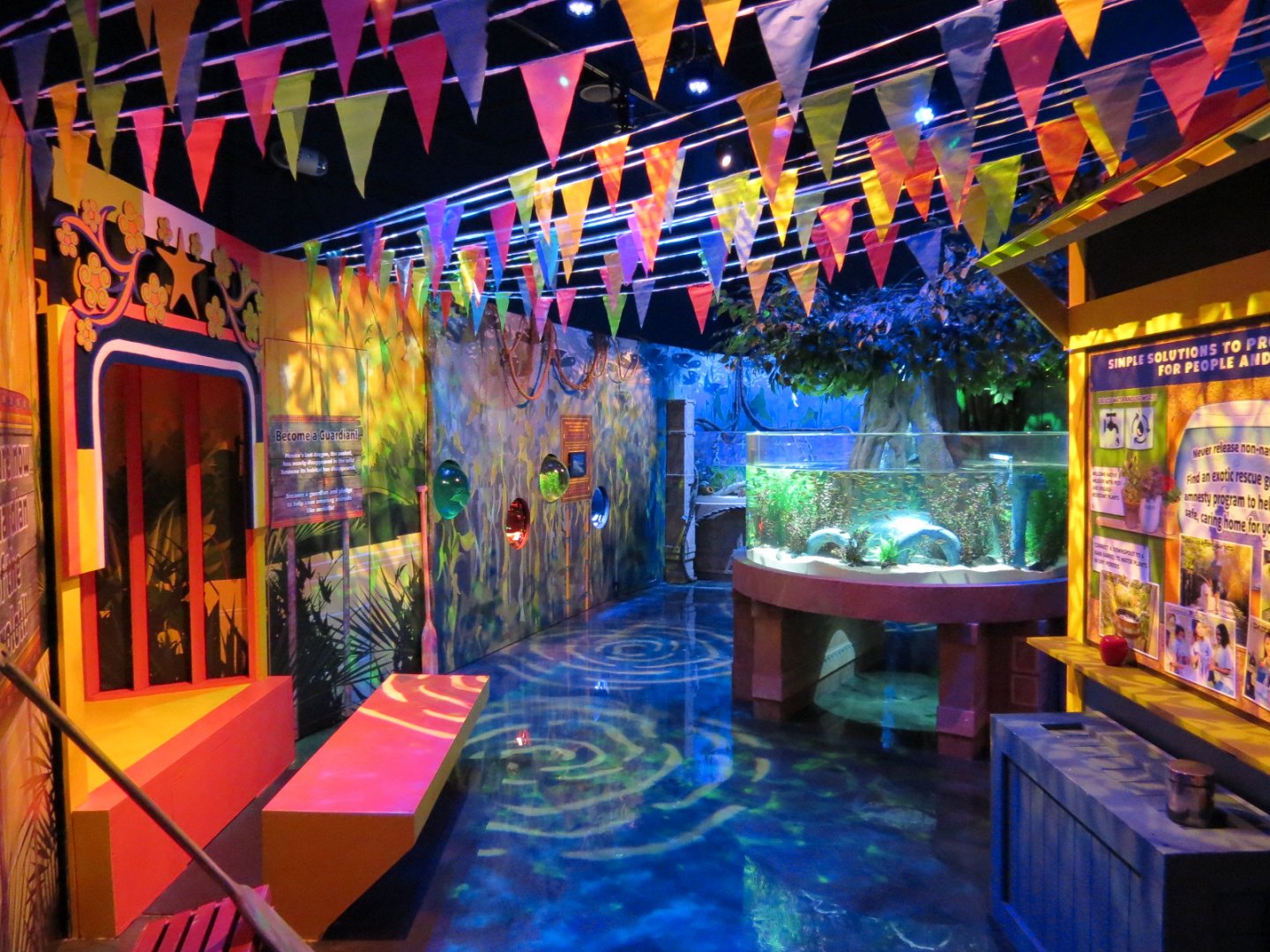 The Last Dragons Exhibits