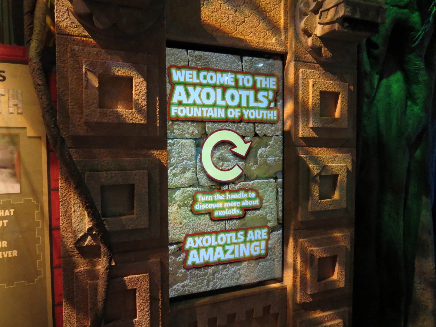 The Last Dragons Graphic