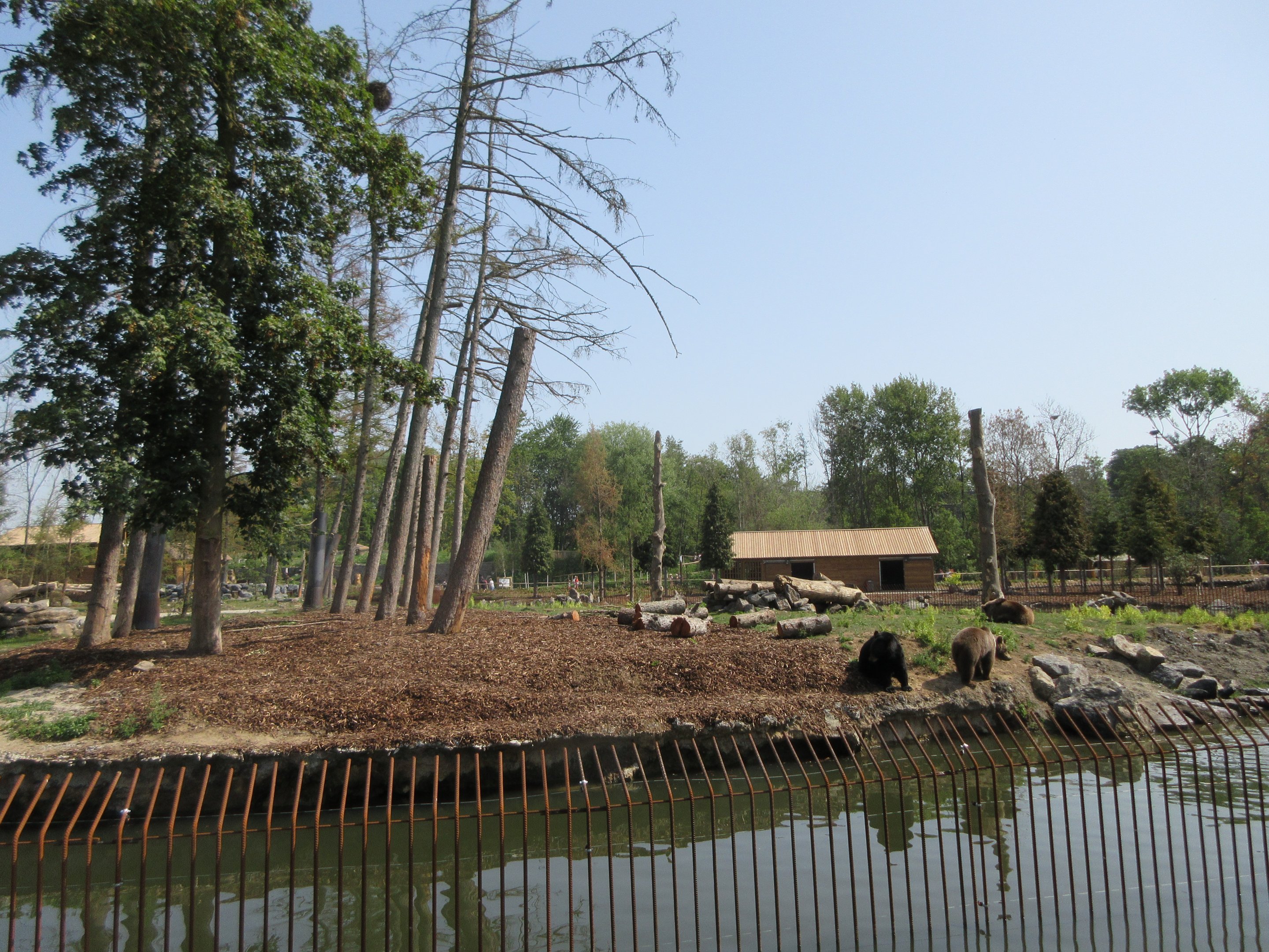 The Last Frontier - Eurasian Brown Bear/American Black Bear Exhibit