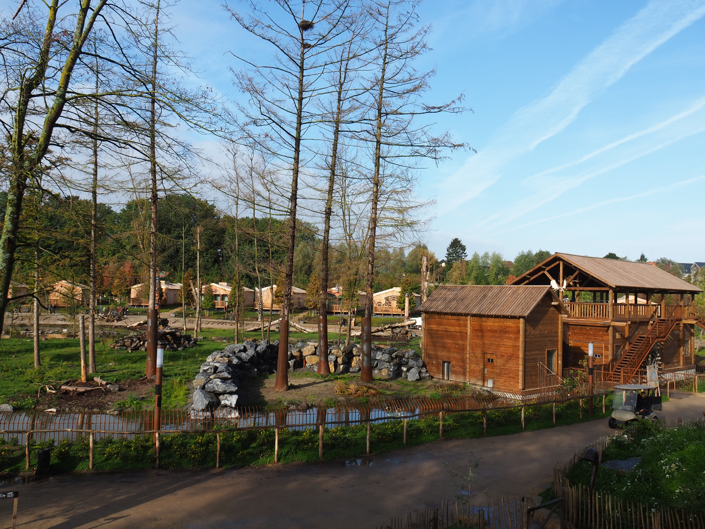 The Last Frontier  - Eurasian brown bear and American black bear exhibit, 2019-10-04