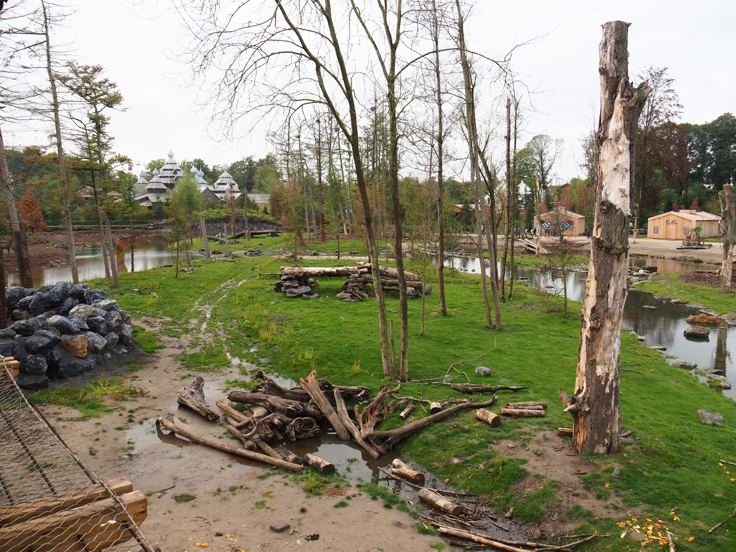 The Last Frontier - Eurasian brown bear and American black bear exhibit, 2019-10-04
