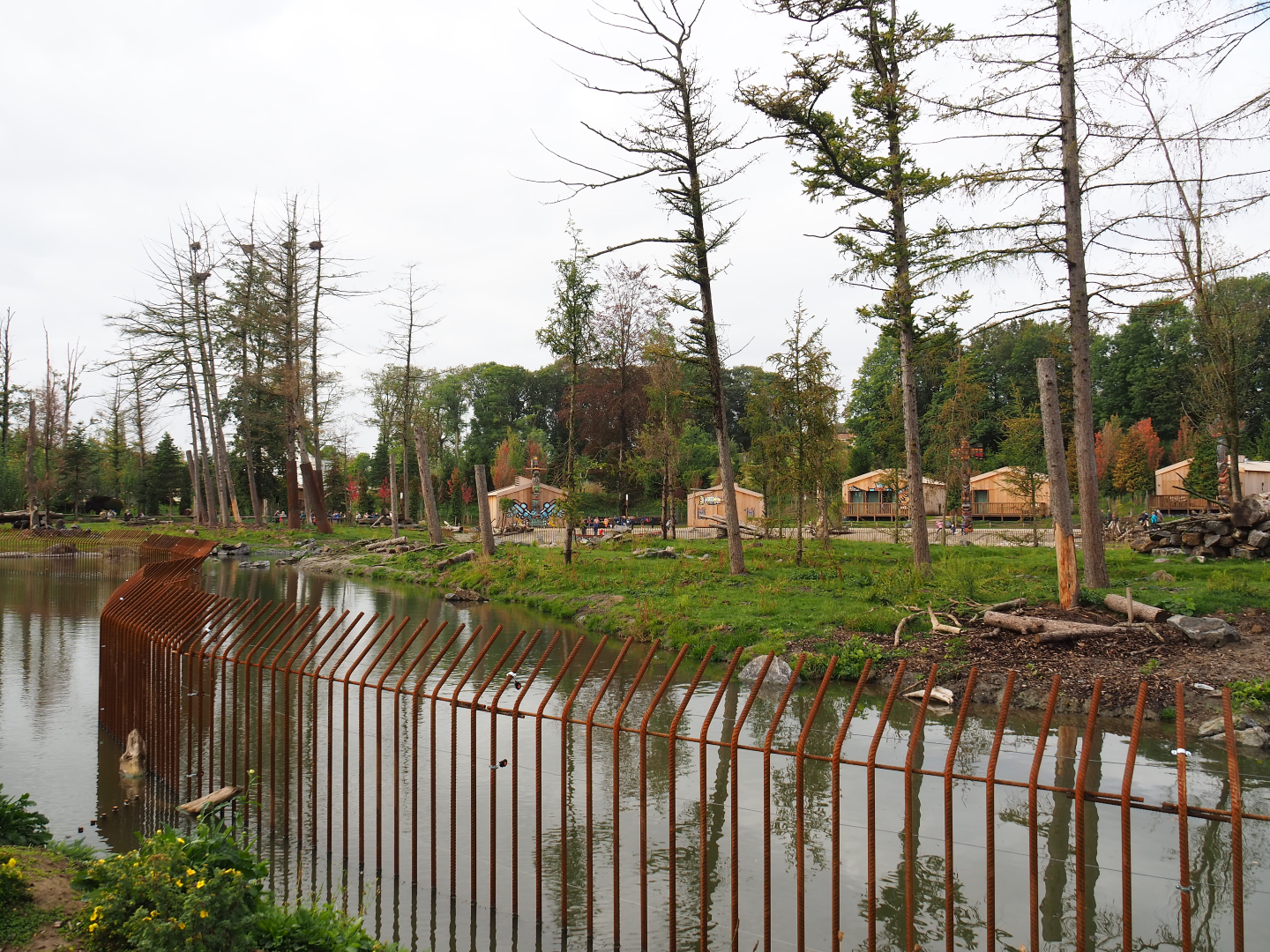 The Last Frontier - Eurasian brown bear and American black bear exhibit, 2019-10-04