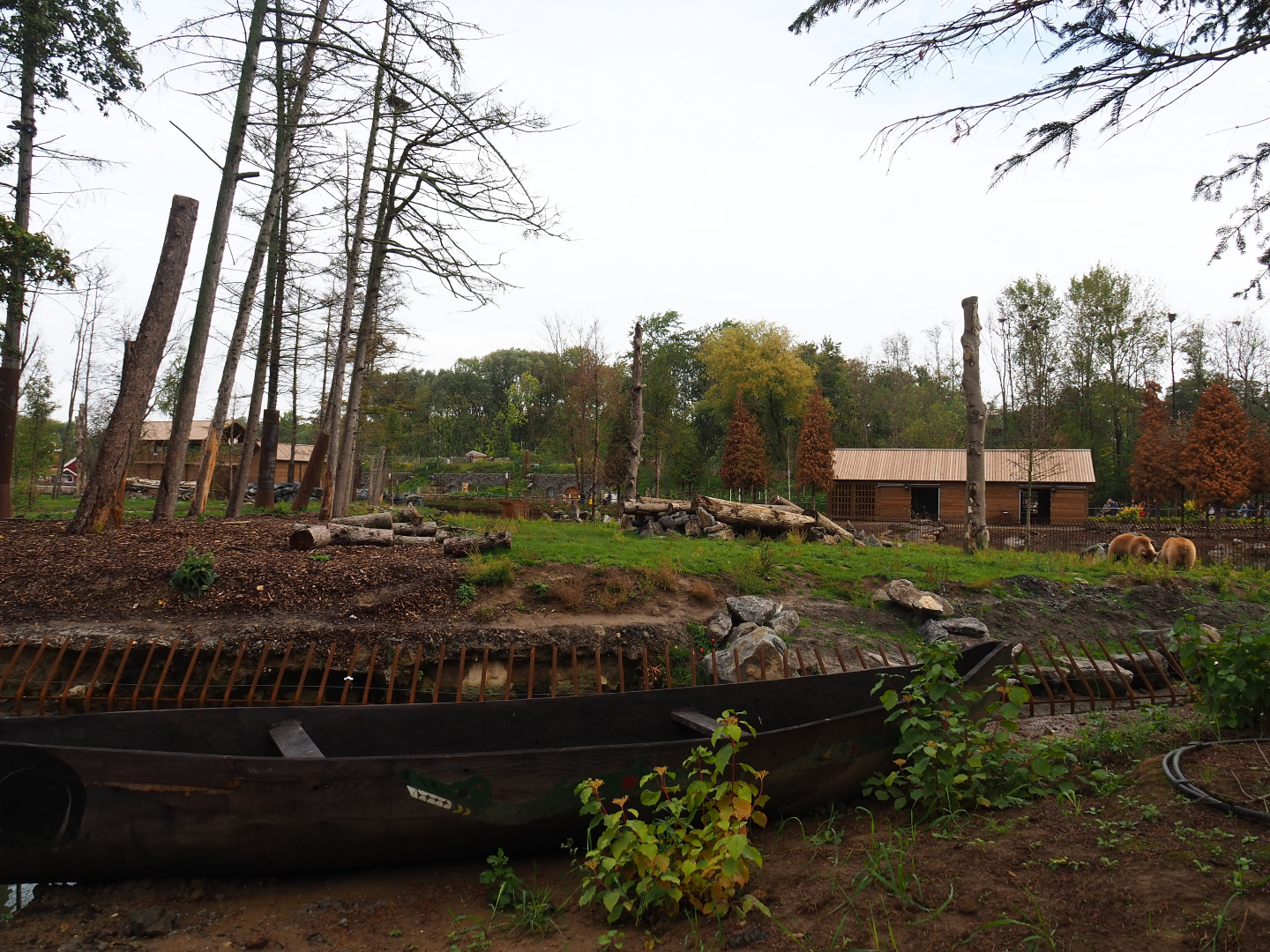 The Last Frontier - Eurasian brown bear and American black bear exhibit, 2019-10-04
