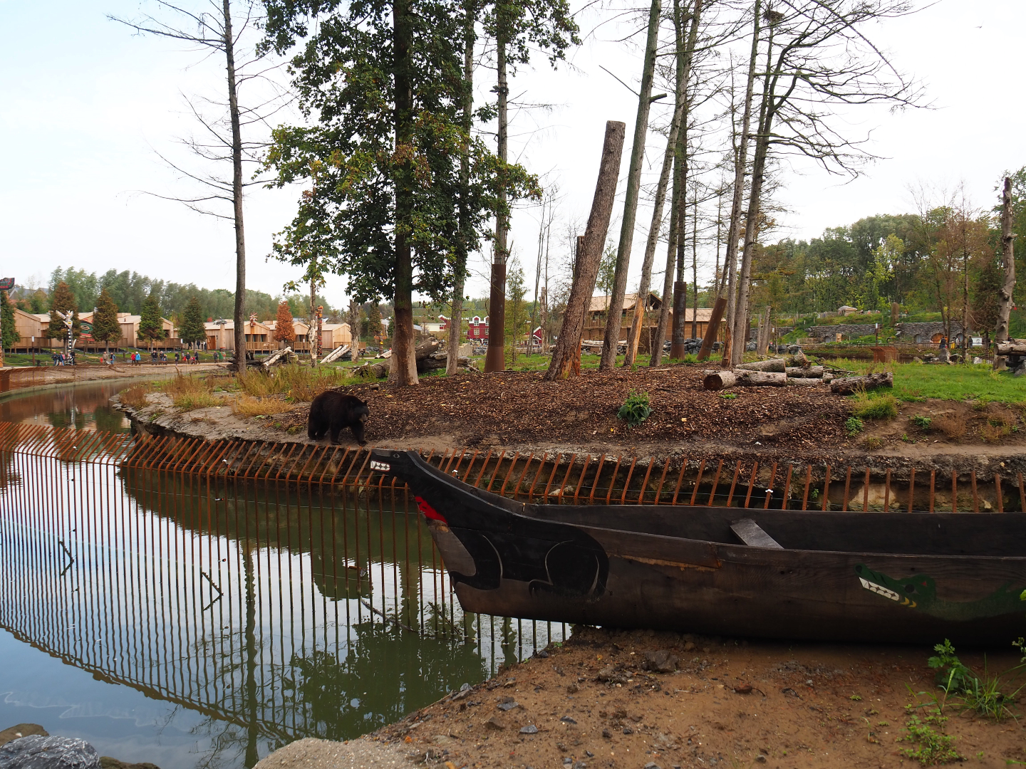 The Last Frontier - Eurasian brown bear and American black bear exhibit, 2019-10-04