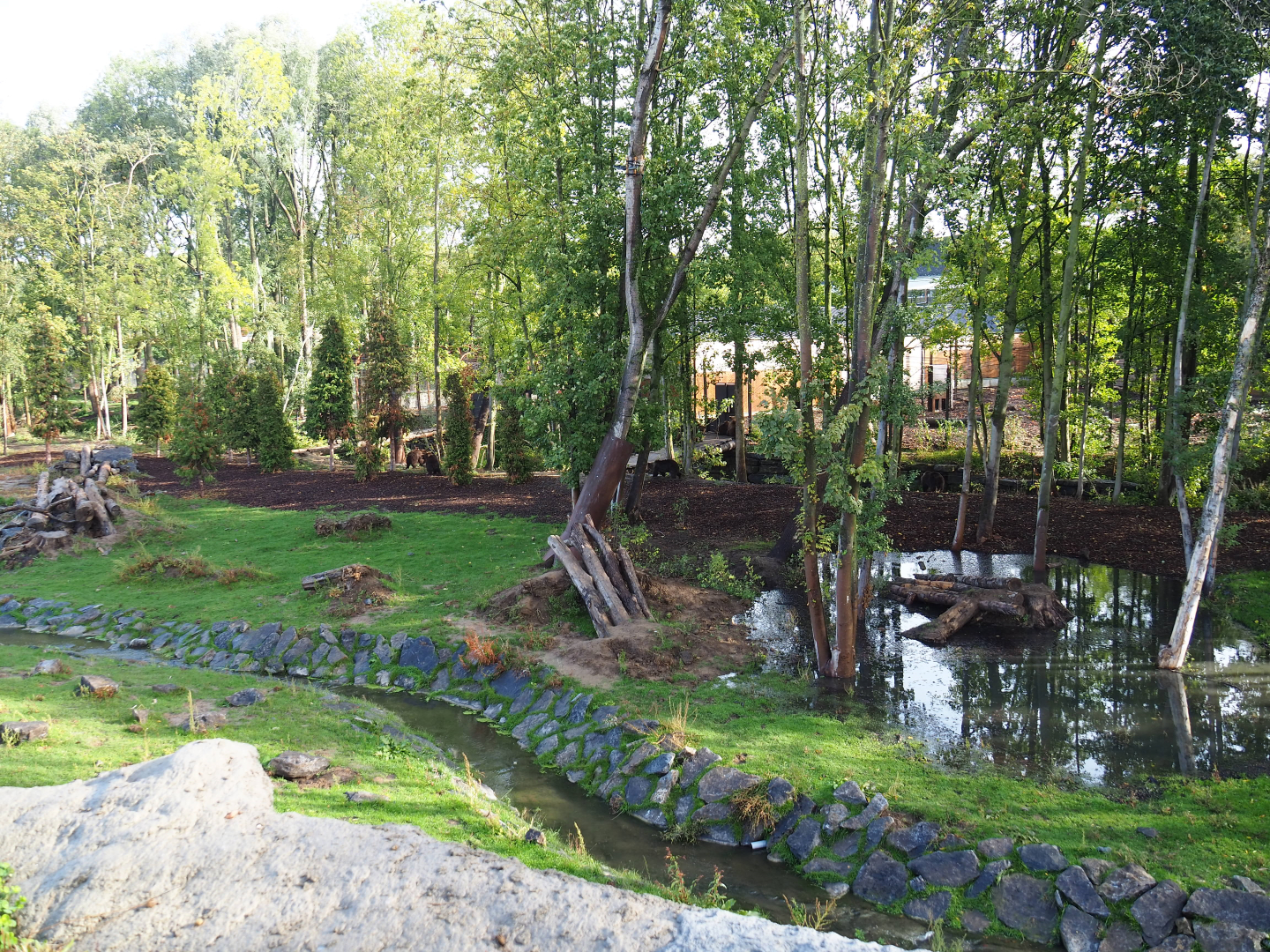 The Last Frontier - Eurasian brown bear and Eurasian grey wolf exhibit, 2019-10-04