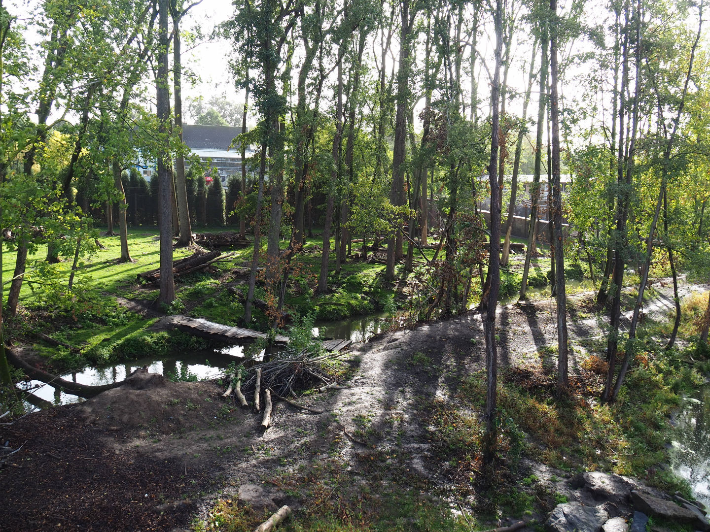 The Last Frontier - Eurasian brown bear and Eurasian grey wolf exhibit, 2019-10-04