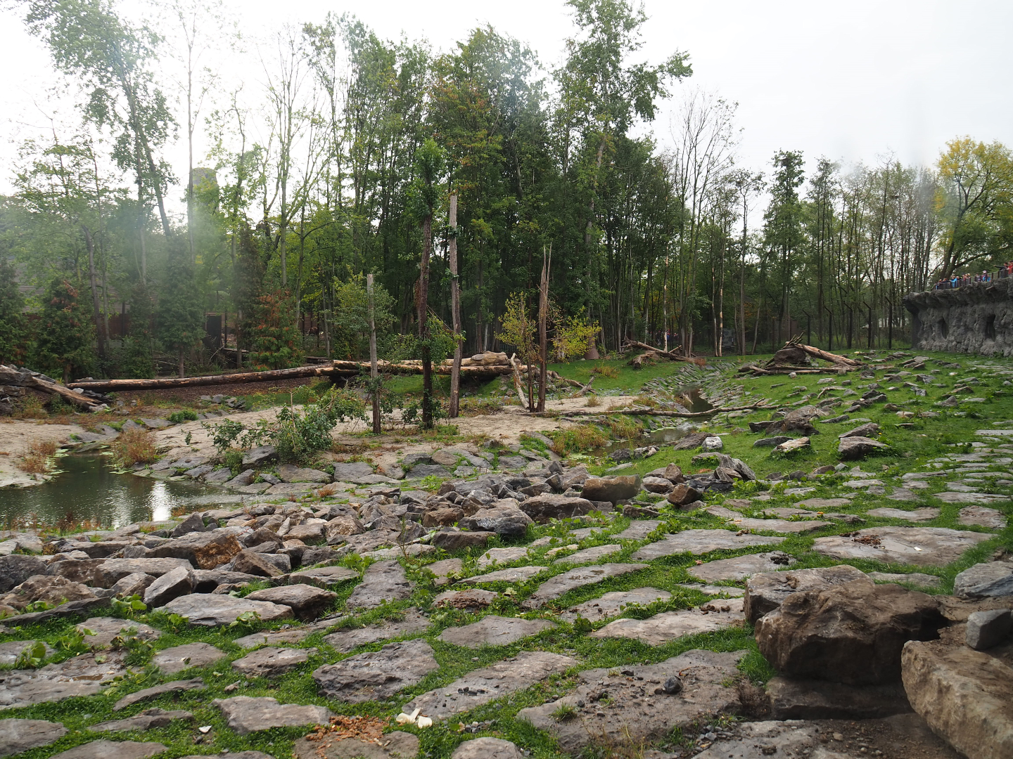 The Last Frontier - Eurasian brown bear and Eurasian wolf exhibit seen from viewing cave, 2019-10-04
