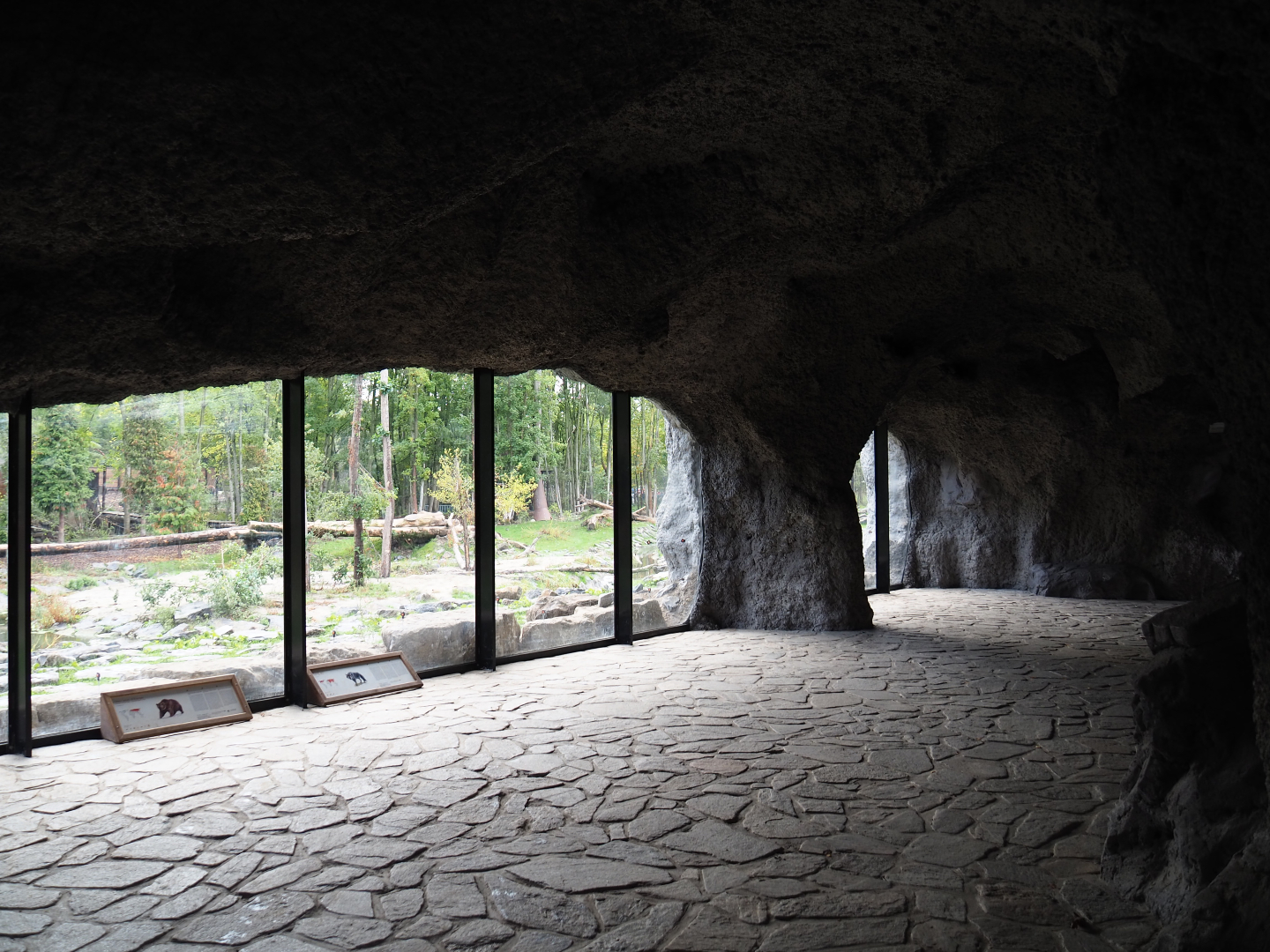 The Last Frontier - Eurasian brown bear and Eurasian wolf viewing cave, 2019-10-04
