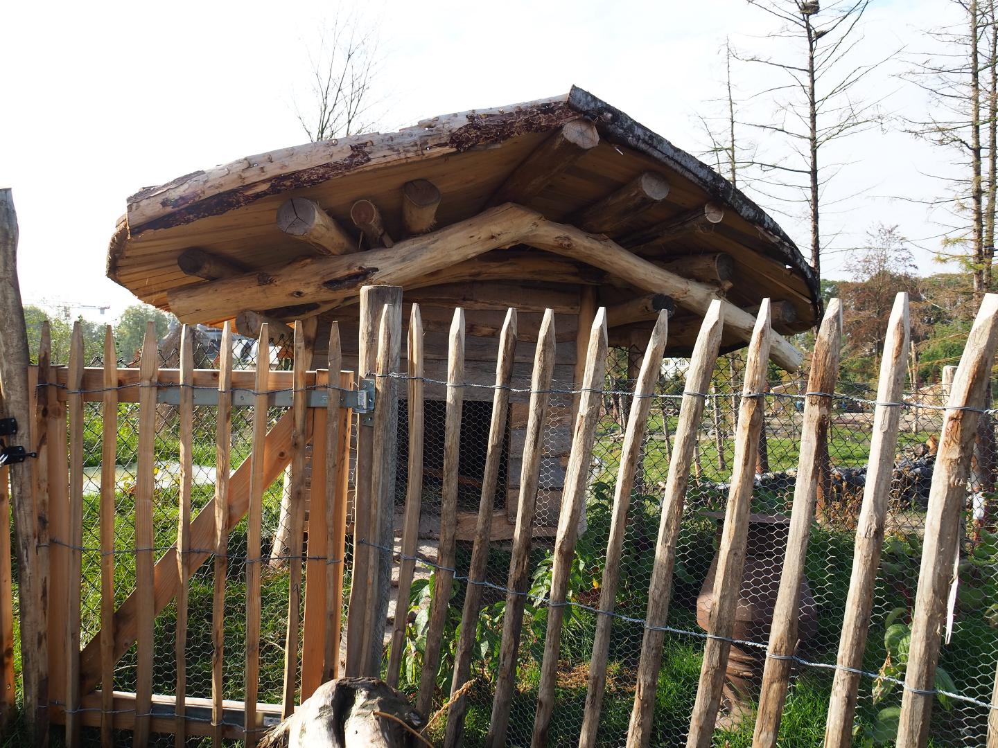 The Last Frontier - First chicken coop, 2019-10-04