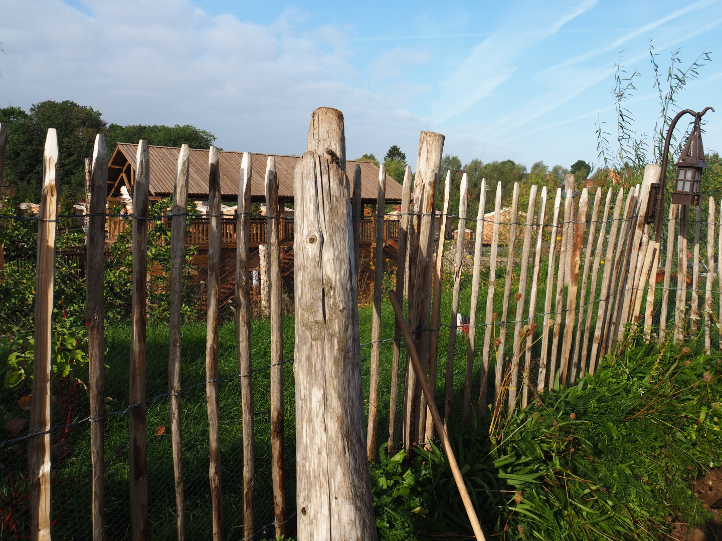 The Last Frontier - First chicken pen, 2019-10-04