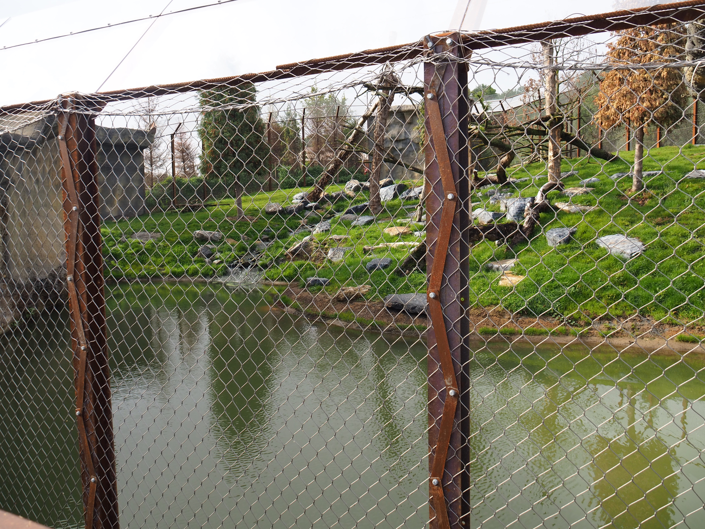 The Last Frontier - Mountain lion exhibit, 2019-10-04