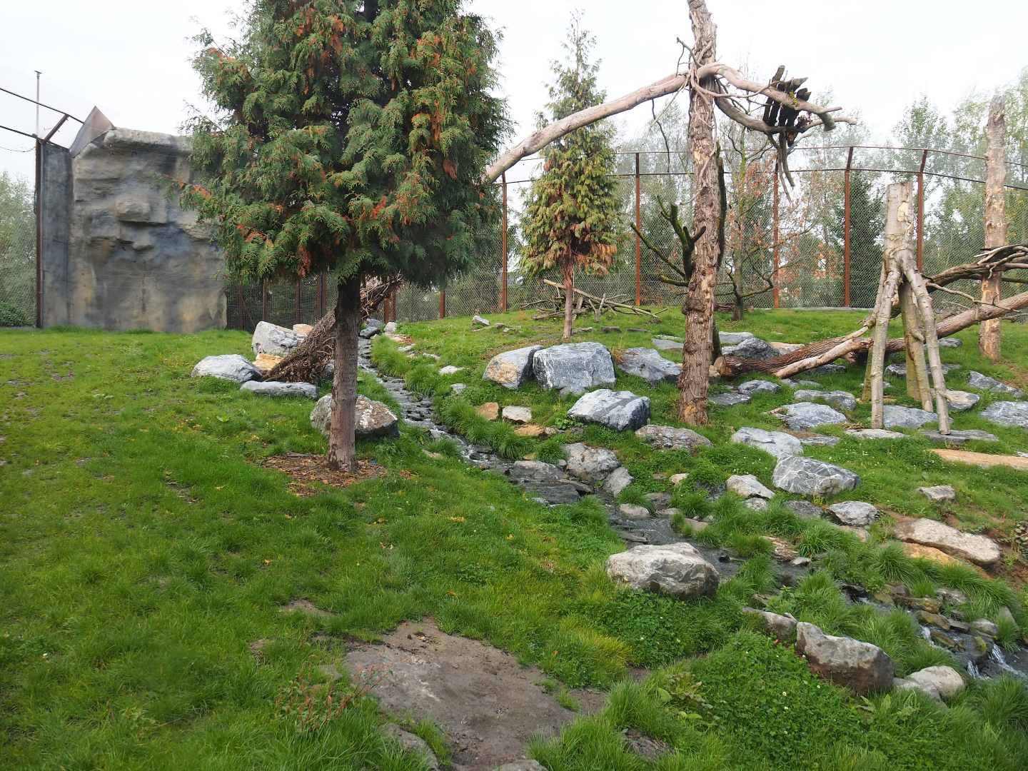 The Last Frontier - Mountain lion exhibit, 2019-10-04