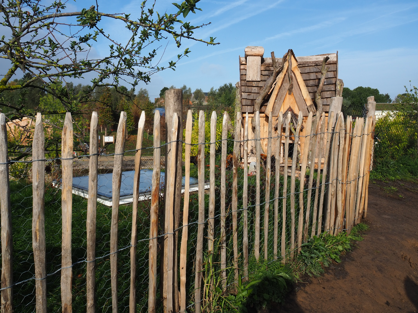 The Last Frontier - Second chicken pen, 2019-10-04