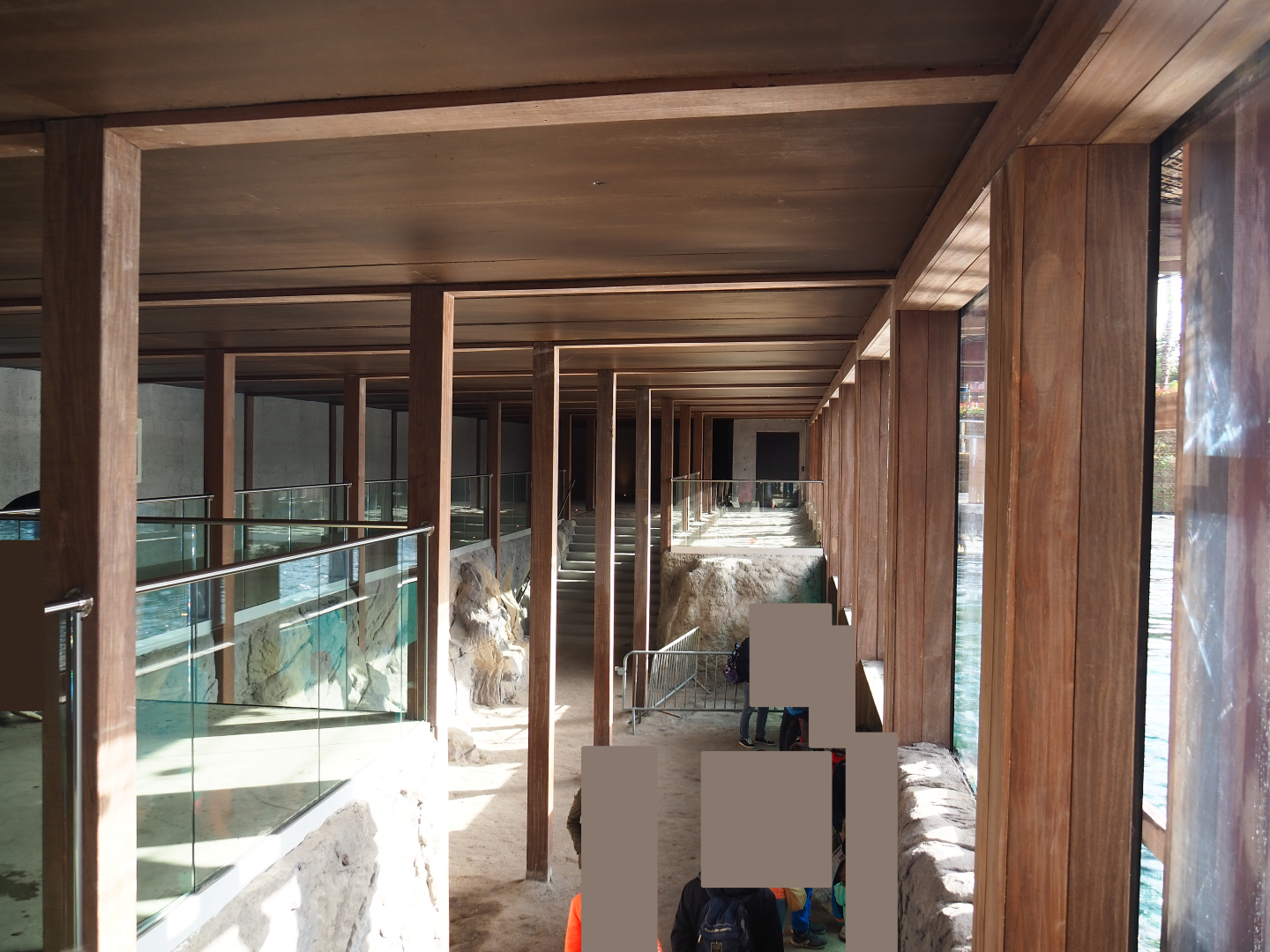 The Last Frontier - Steller's sea lion underwater viewing area, 2019-10-04