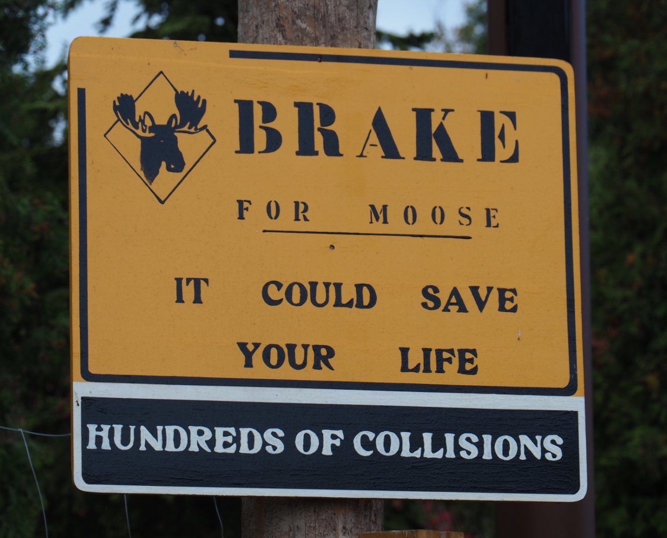 The Last Frontier theming - Brake for moose, 2019-10-04