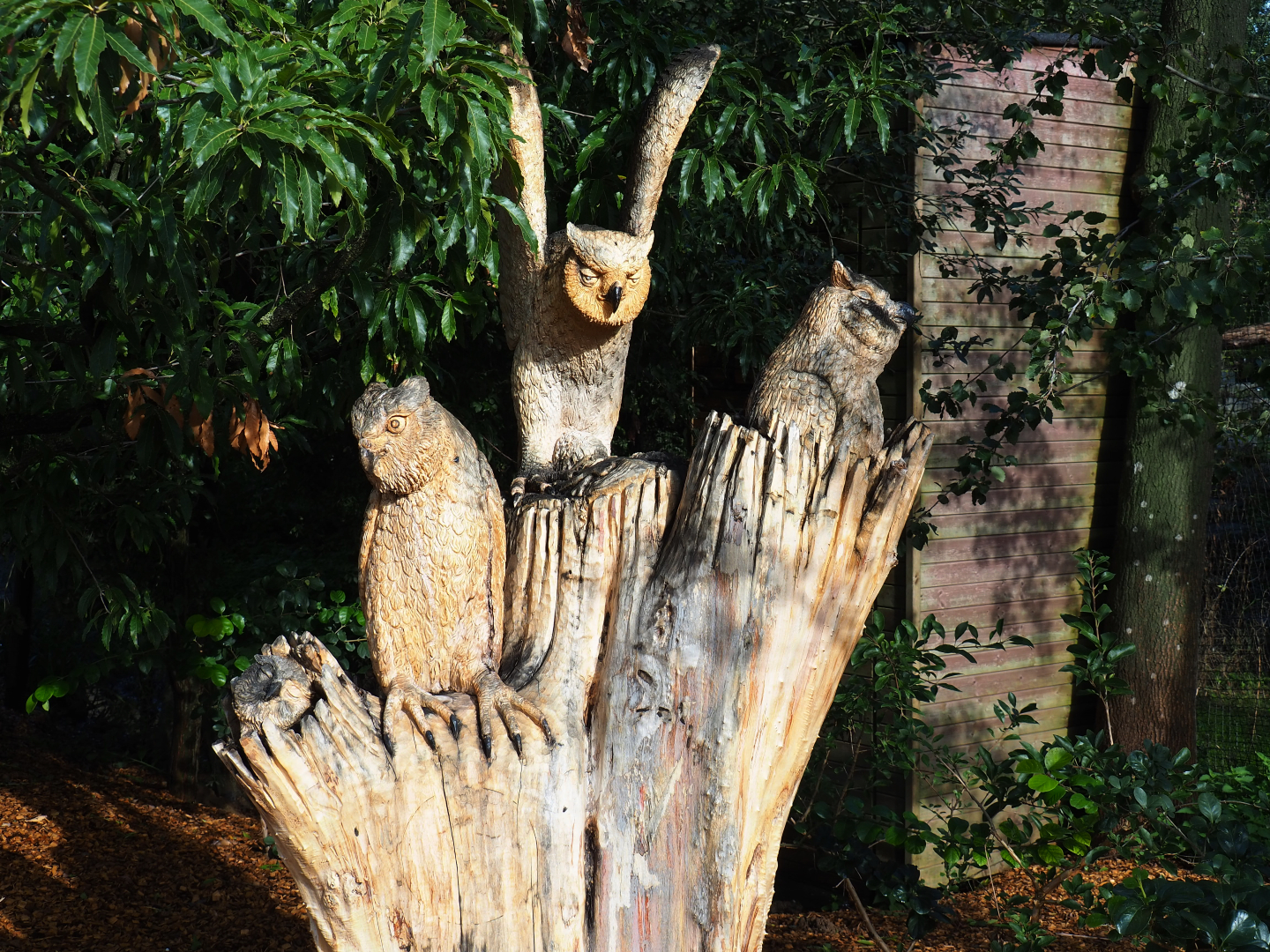 The Last Frontier theming - Owls wood carving, 2019-10-04