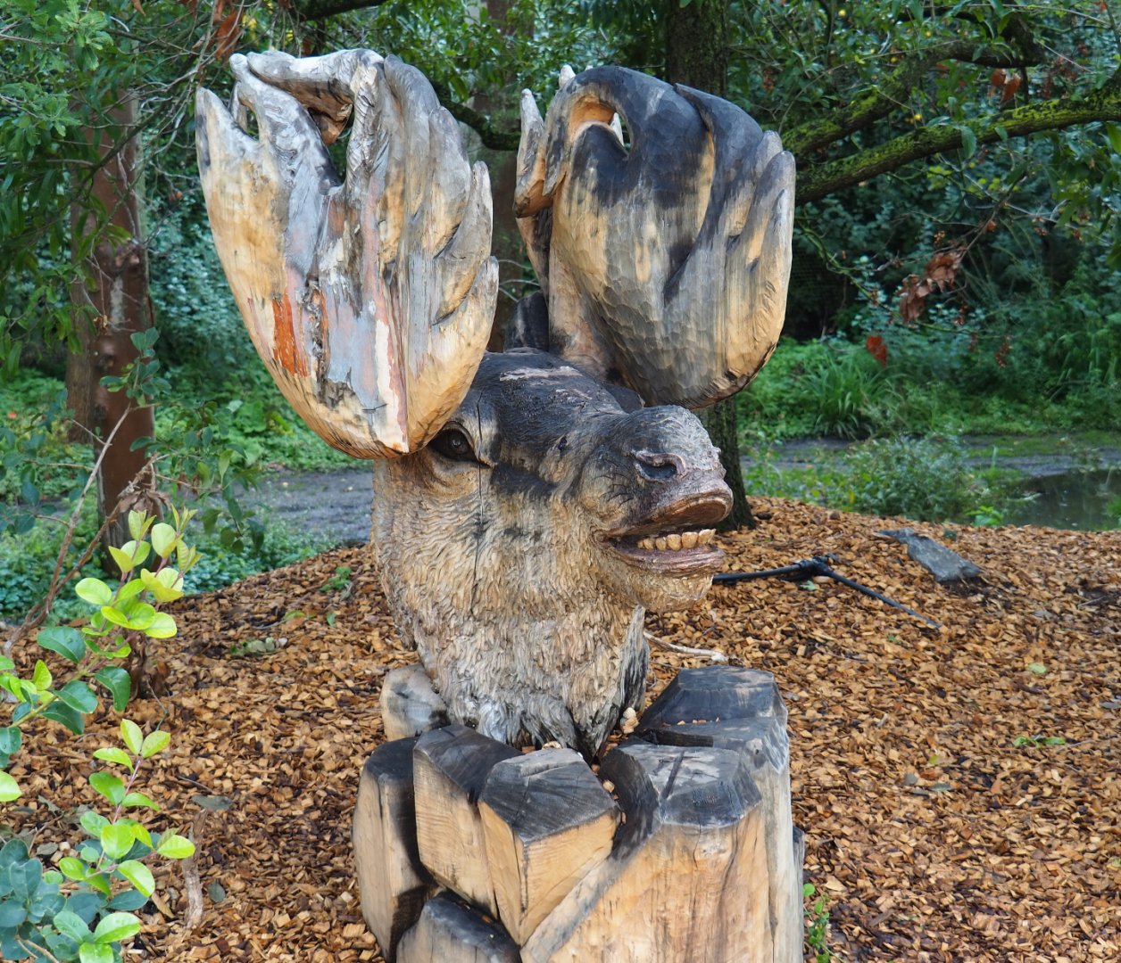 The Last Frontier theming - Wacky moose wood carving, 2019-10-04