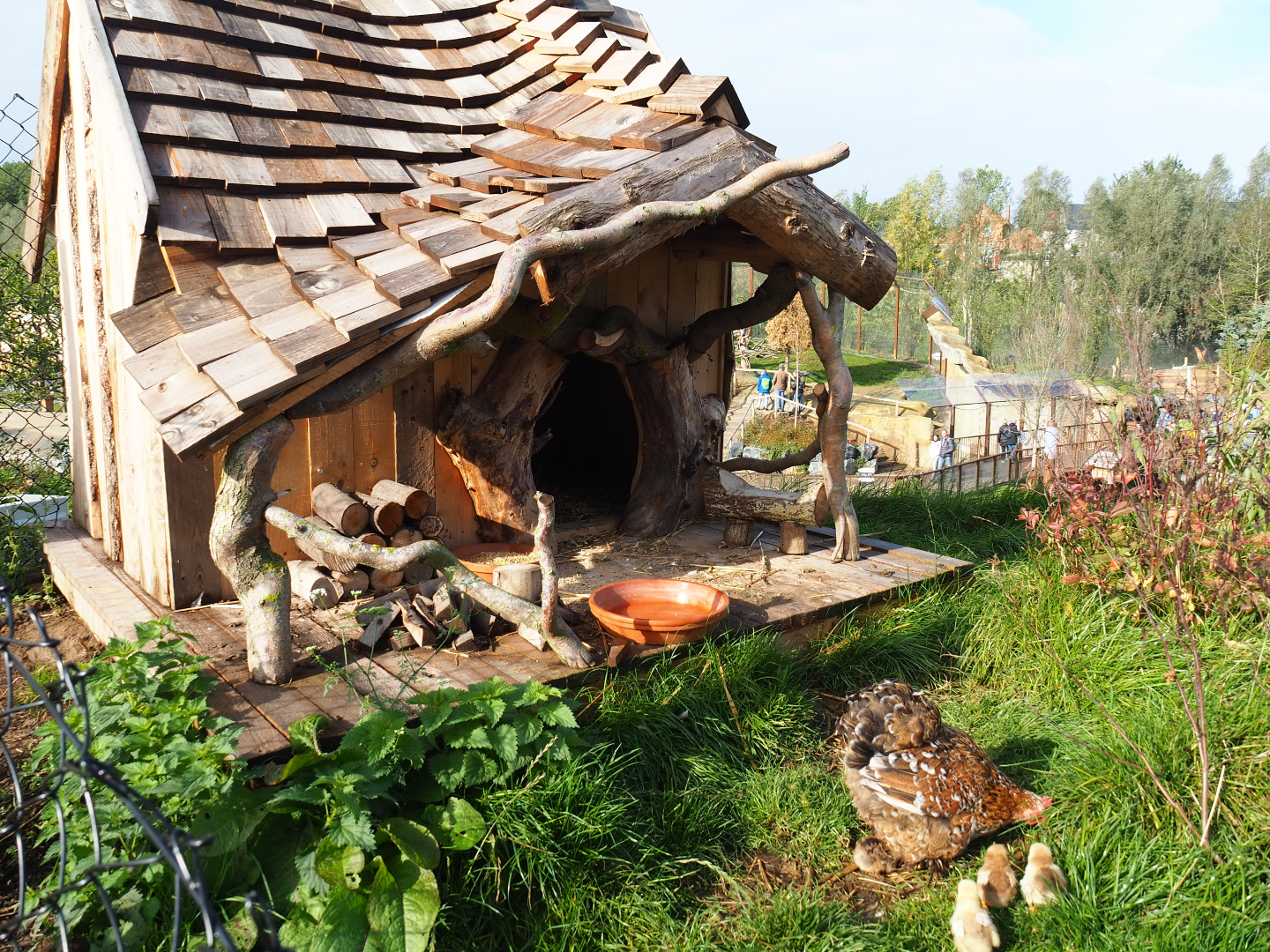 The Last Frontier - Third chicken coop, 2019-10-04