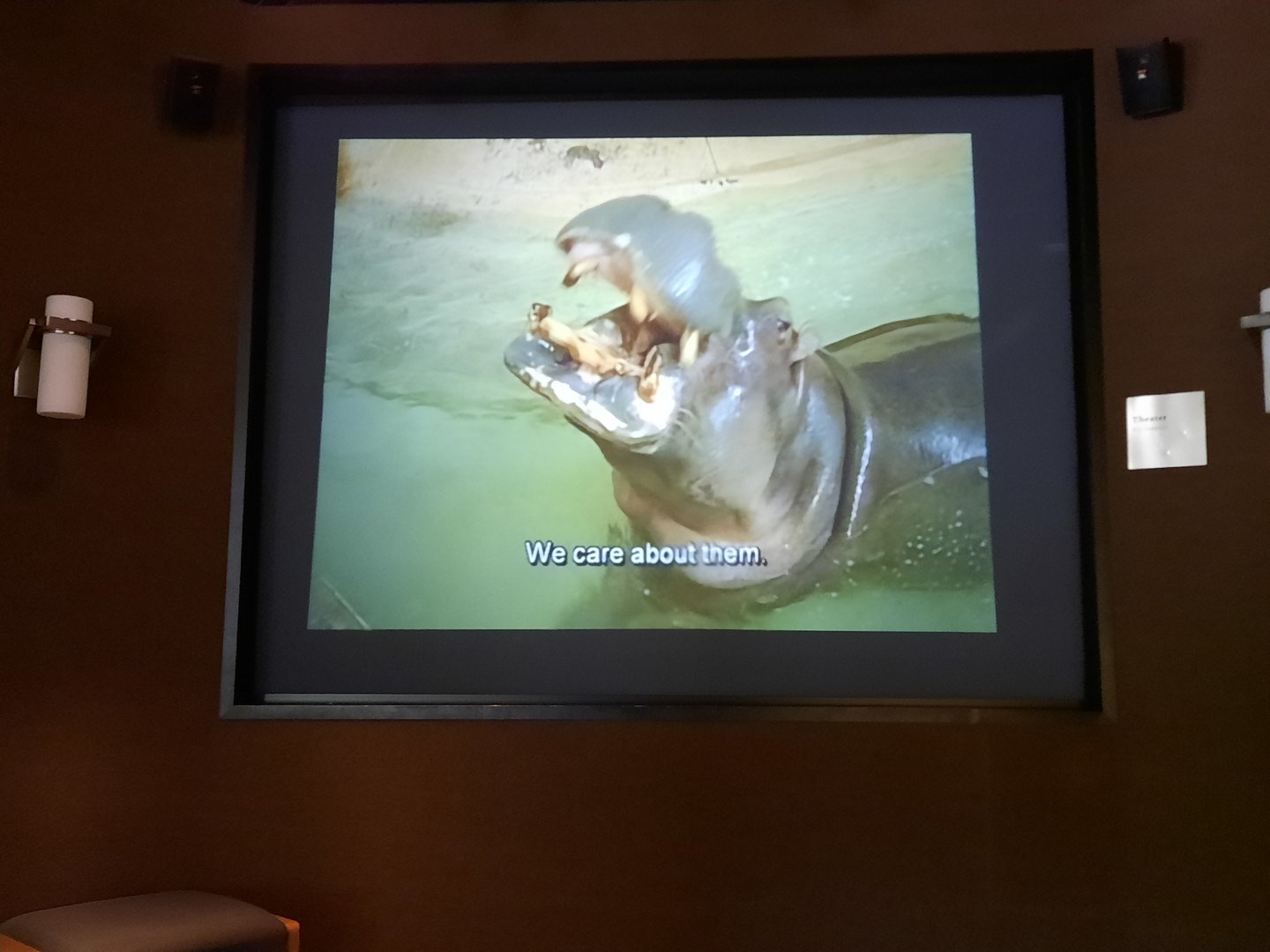 The Late Blackie the Hippo