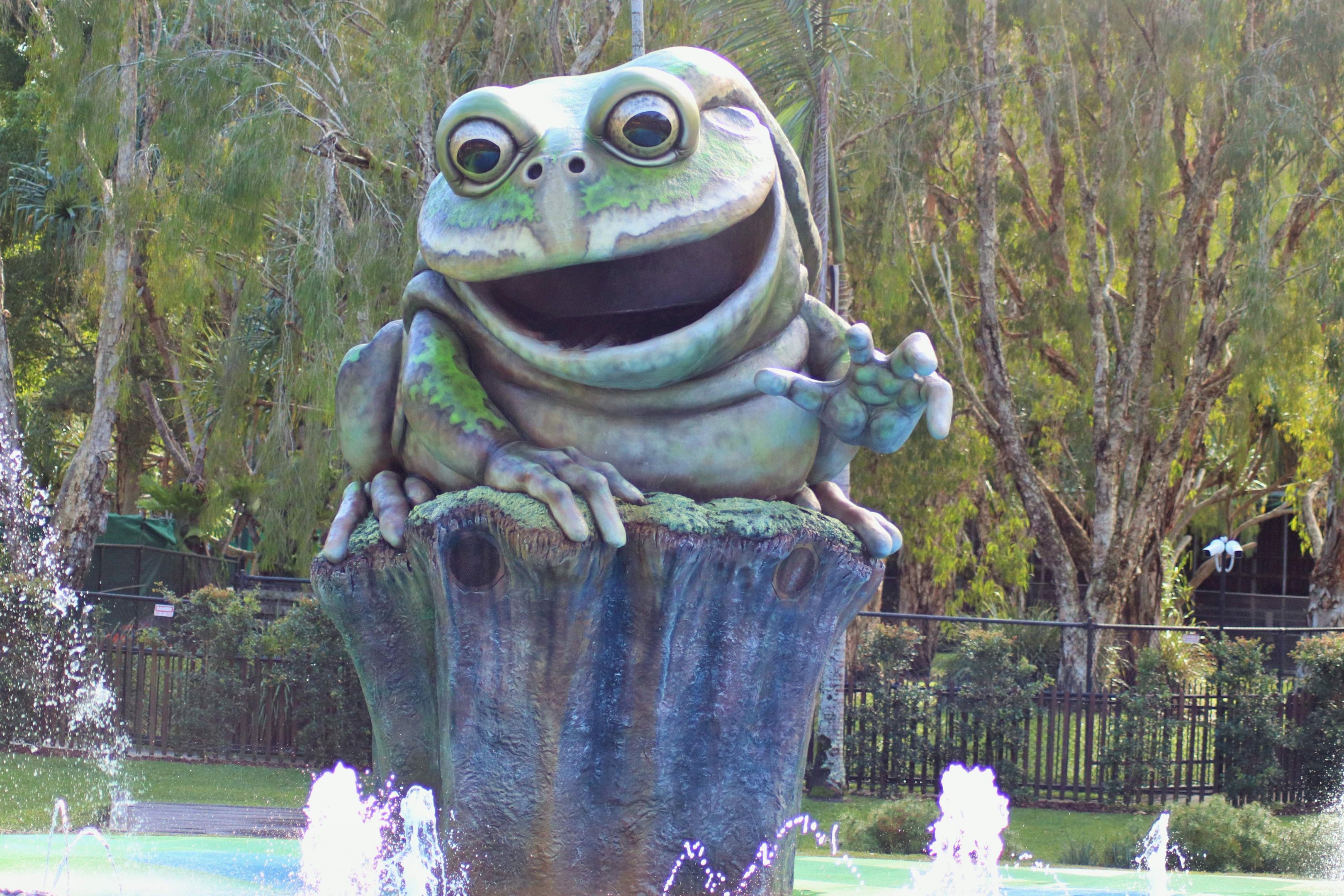 The Laughing Frog Water Park