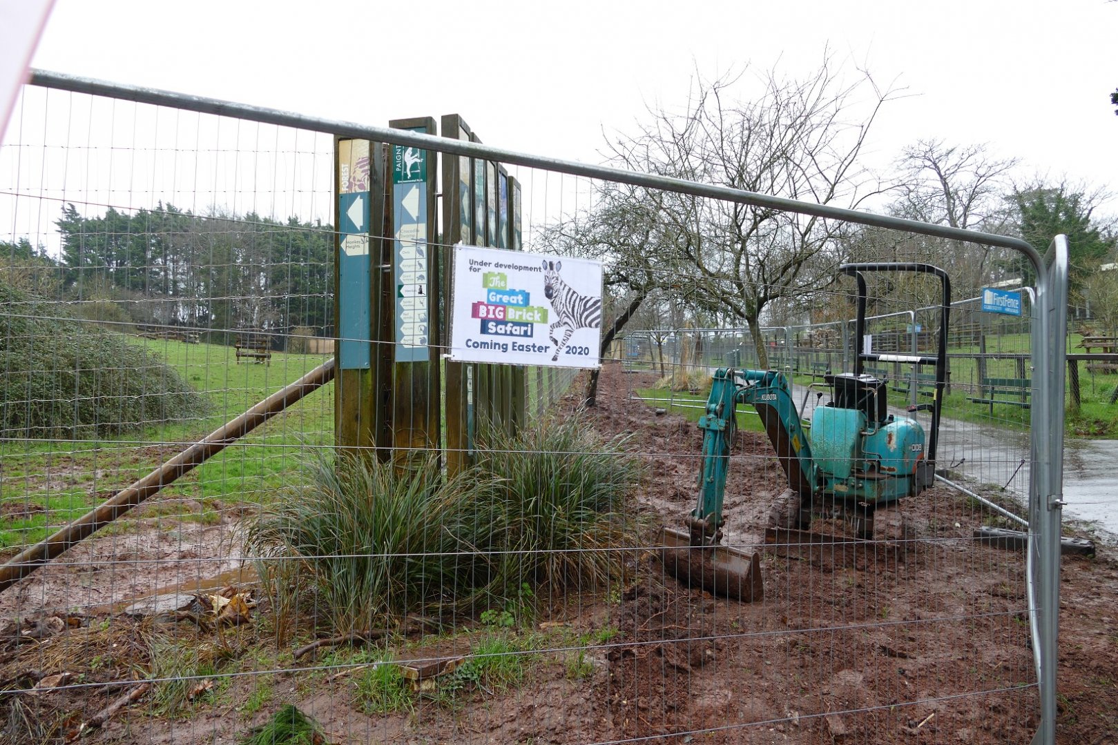 The Lego animals are coming, February 2020