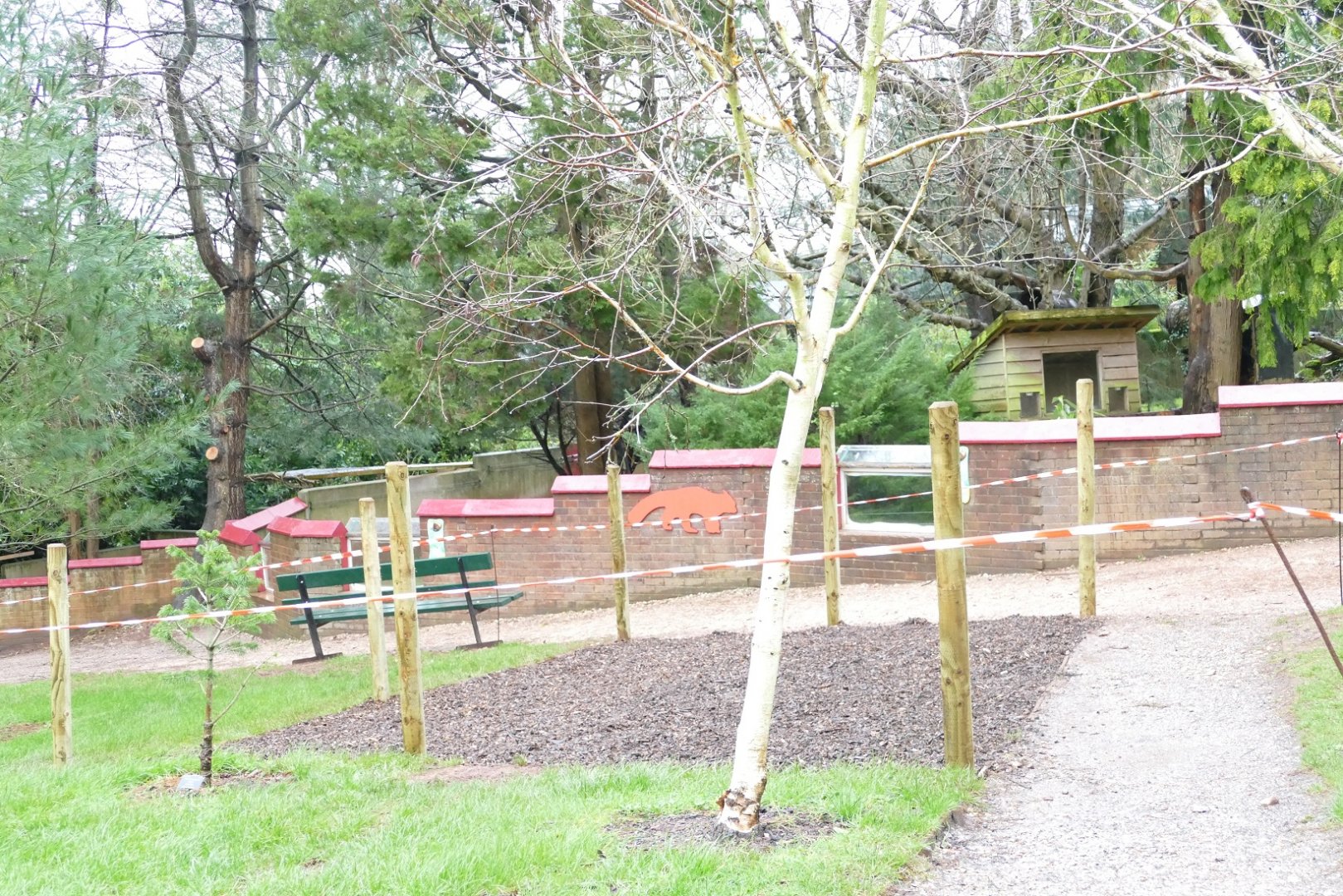 The Lego animals are coming, February 2020