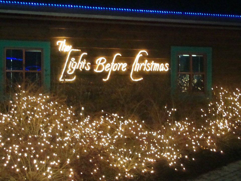 The Lights Before Christmas