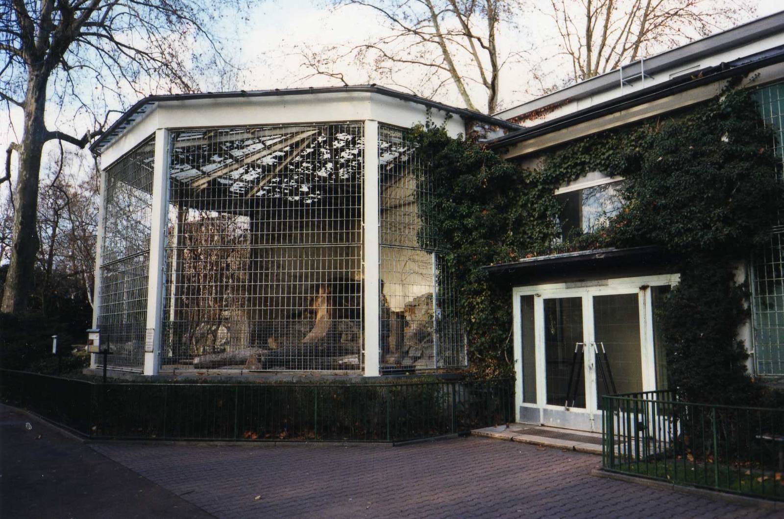 The Lino House with Lion outdoor cage