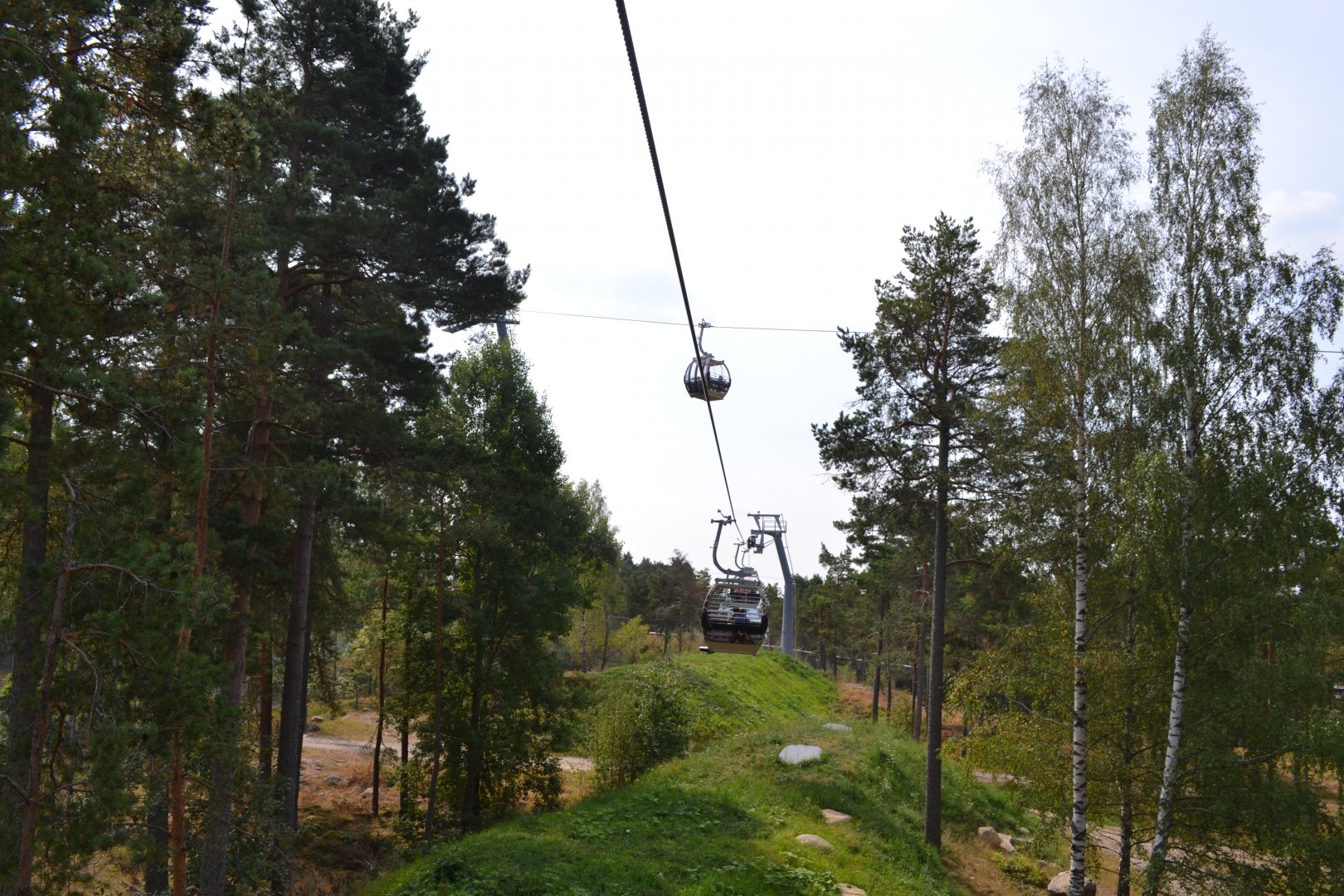 The lion enclosure at Kolmården safari