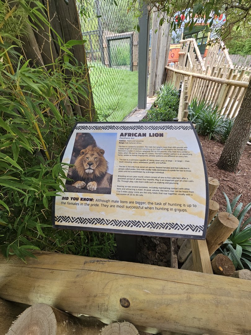 The lion sign is here