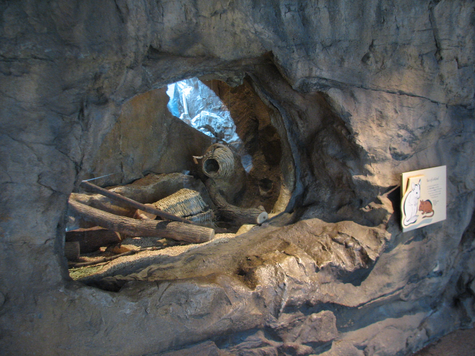 The Living Coast - Chinchilla and Degu Exhibit