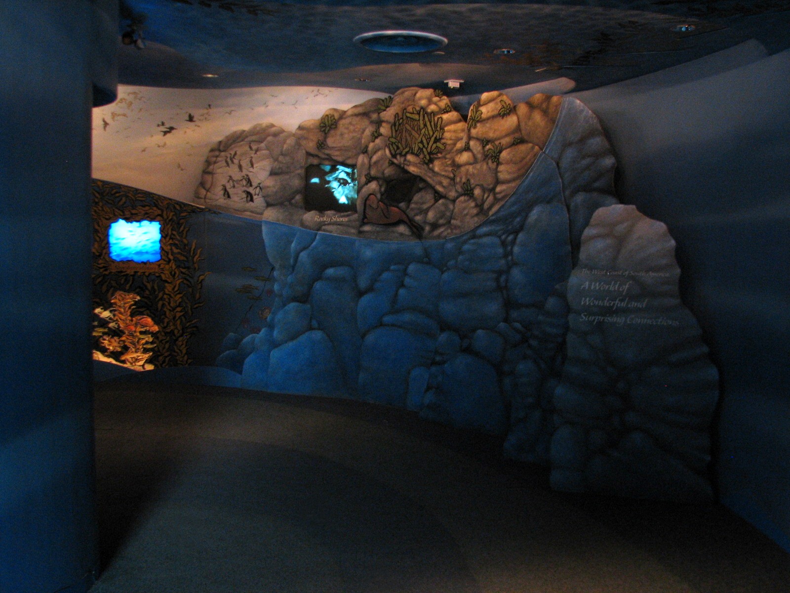 The Living Coast - Entry Hall