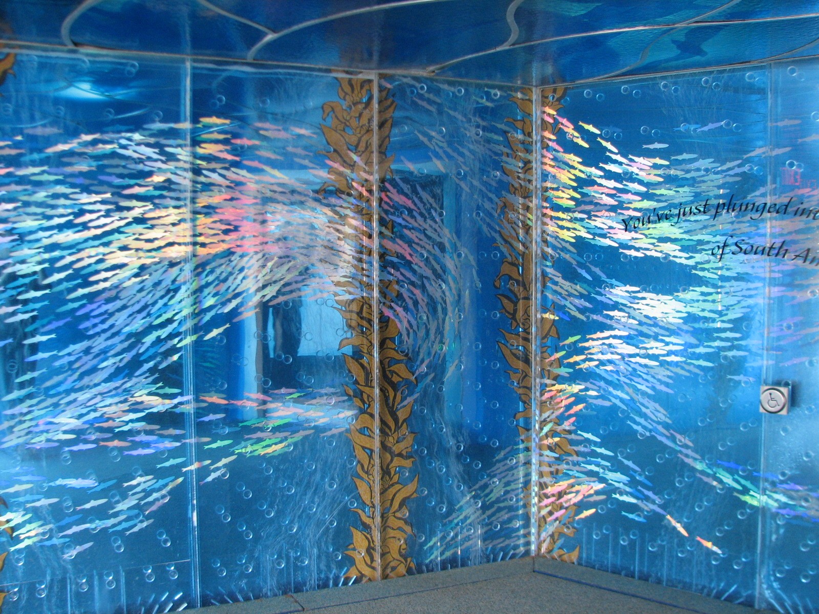 The Living Coast - Foyer