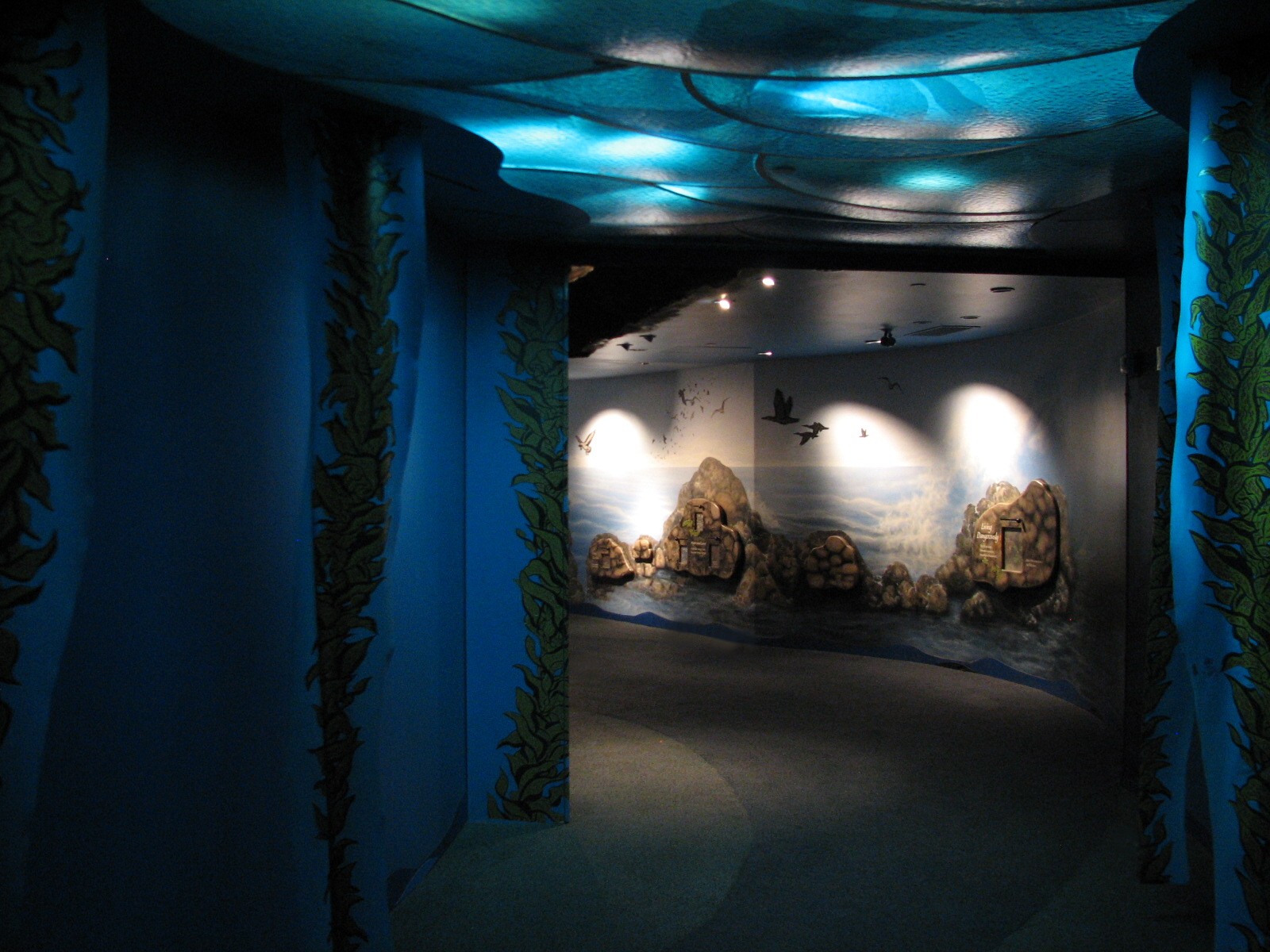 The Living Coast - Hall