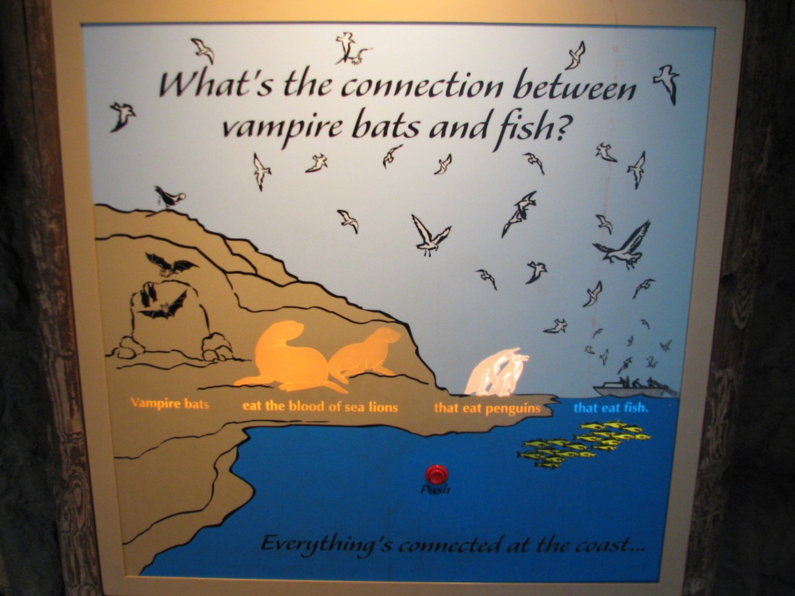 The Living Coast - Interpretive Graphic